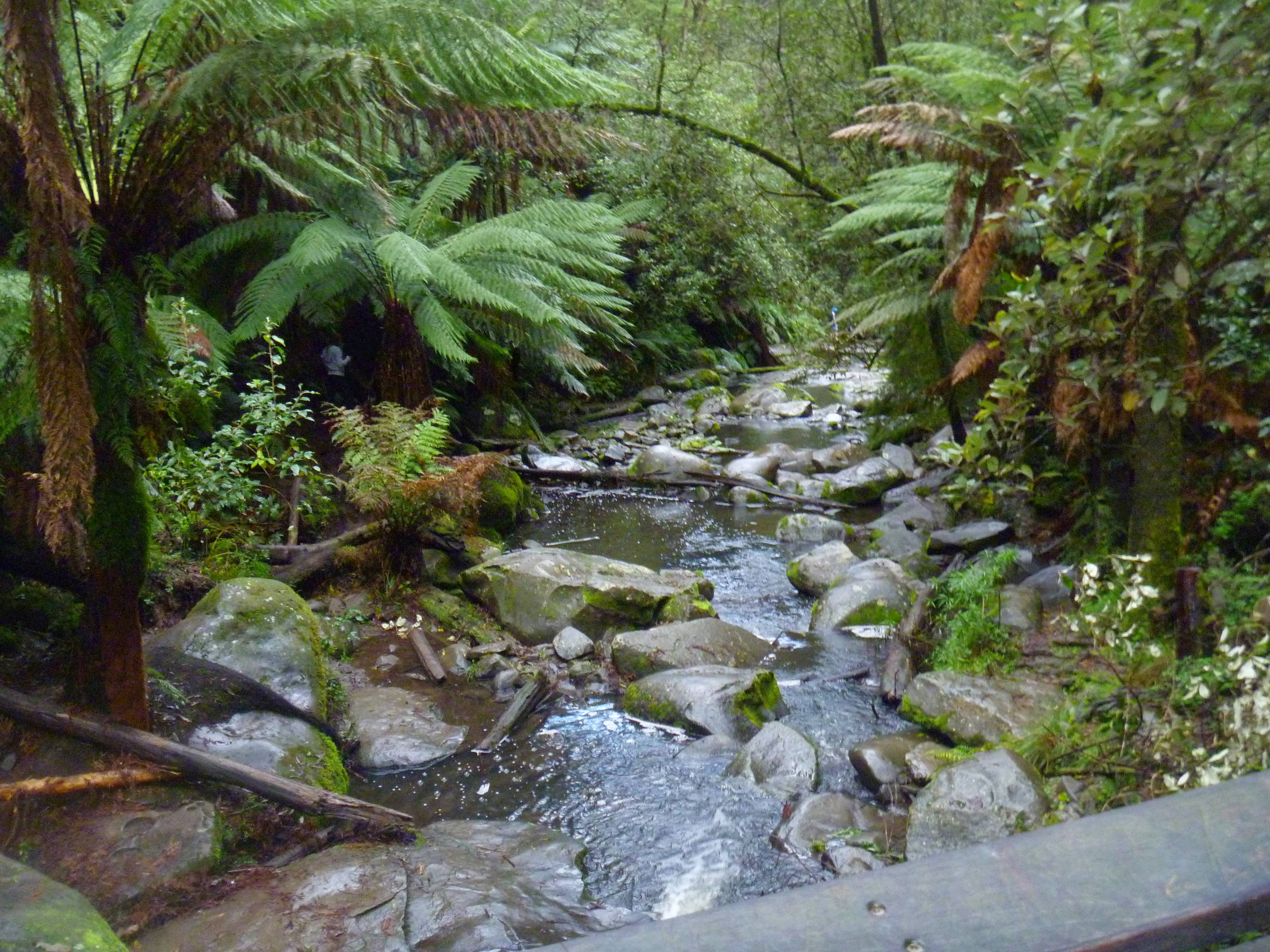 Erskine river walk
