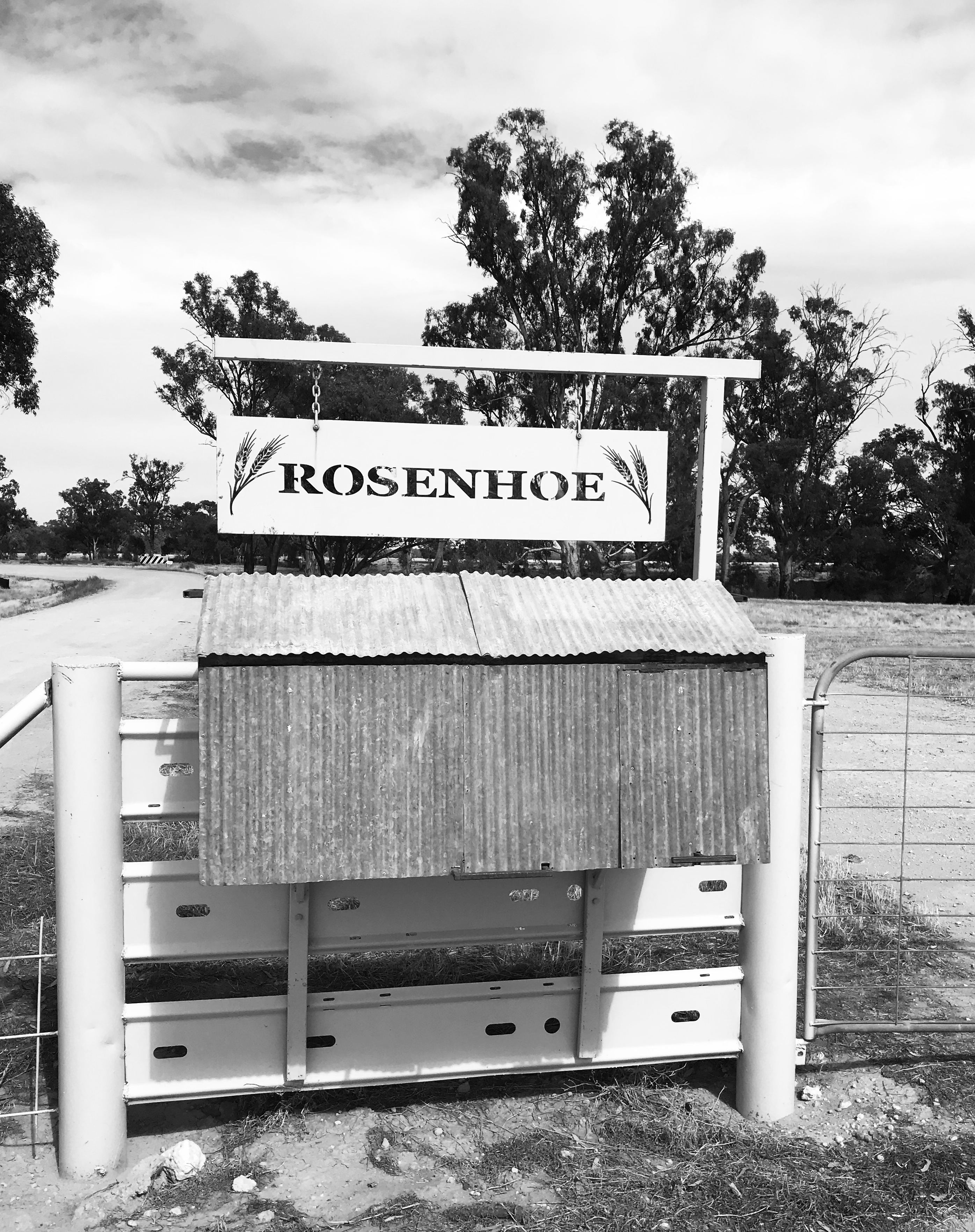 Rosenhoe