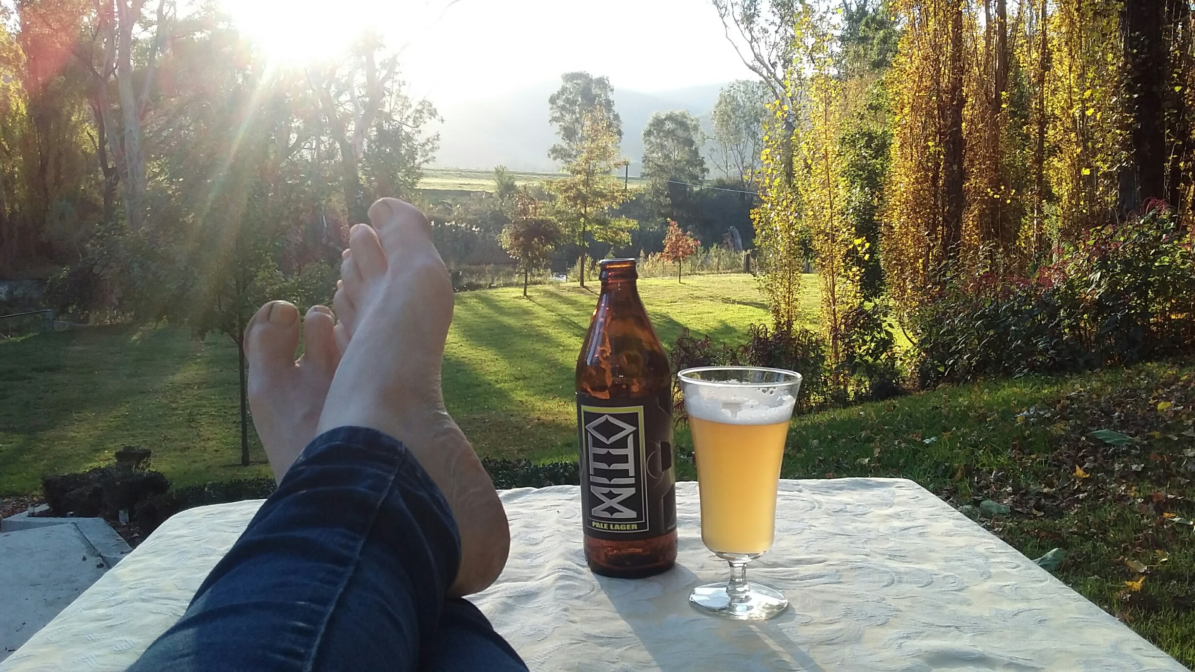 The Witches Garden at Mitta Mitta