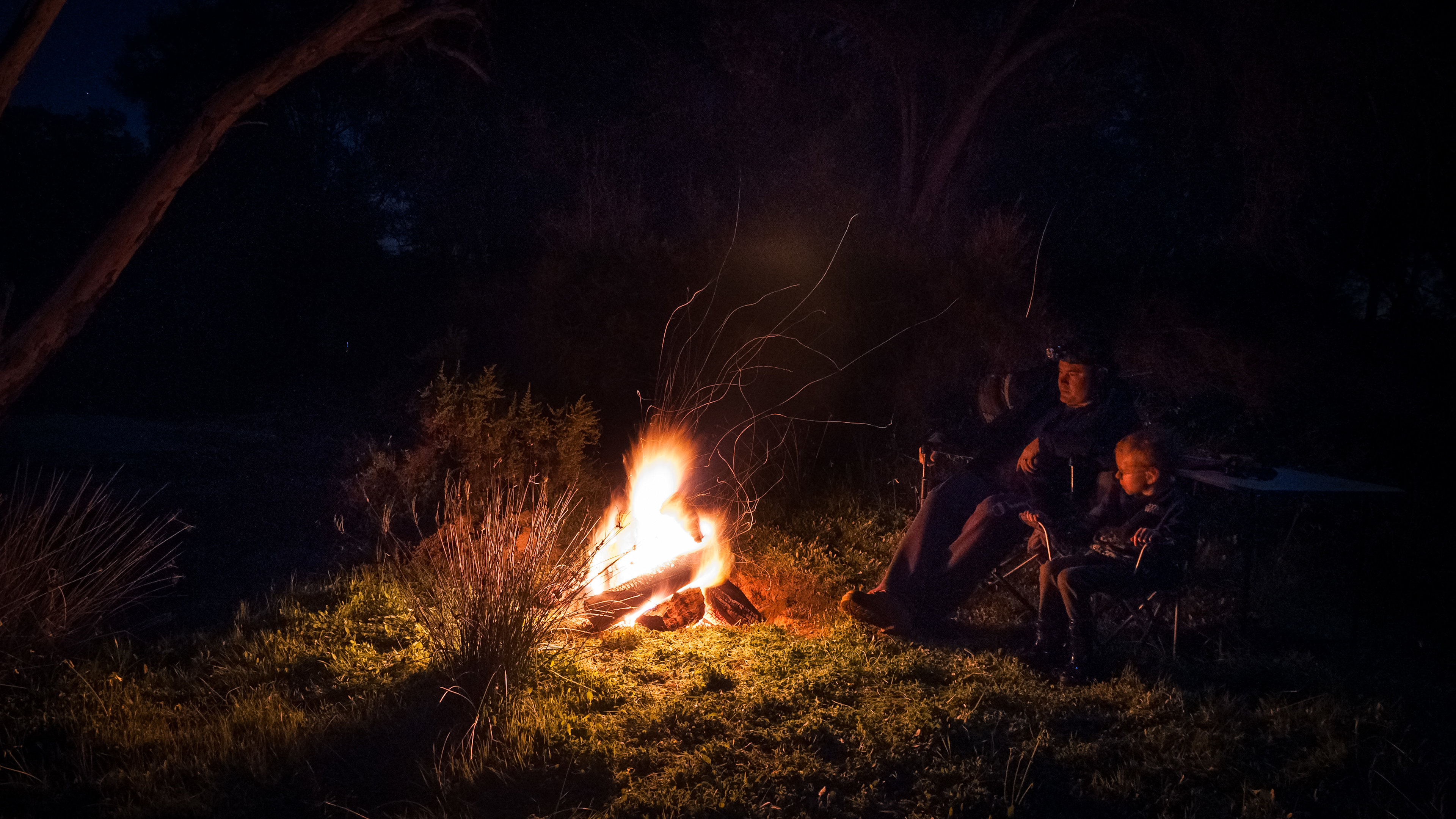 Trapwell Farm - an eco experience!