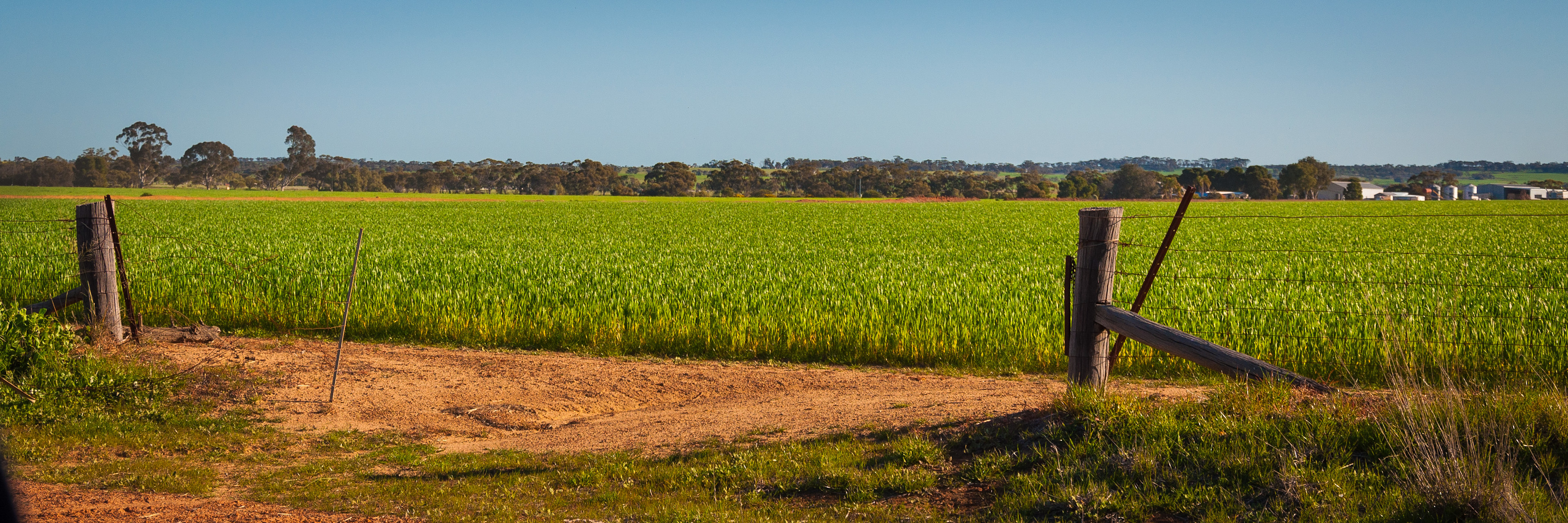 Trapwell Farm - an eco experience!