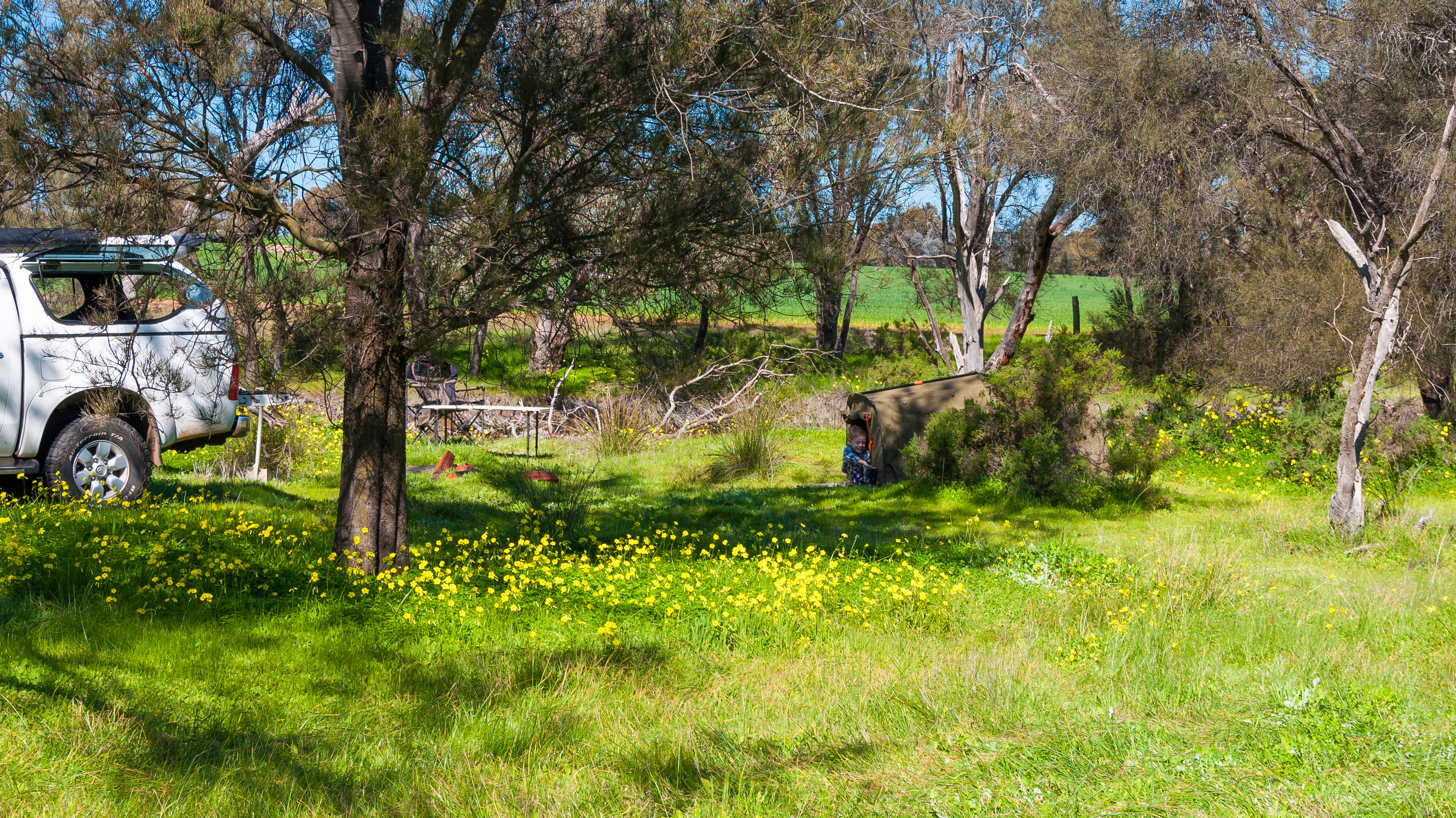 Trapwell Farm - an eco experience!