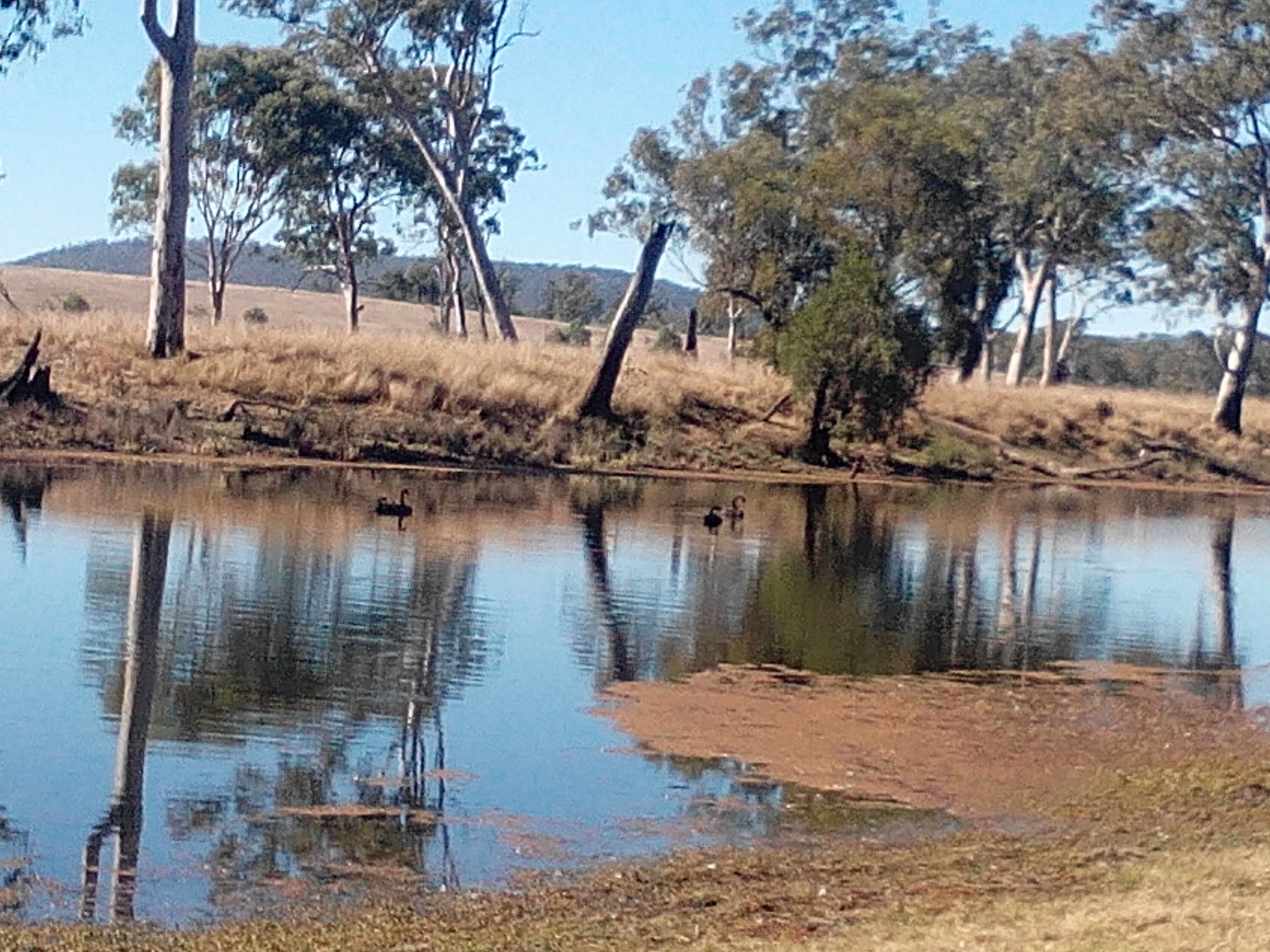 Adavale Farm experience