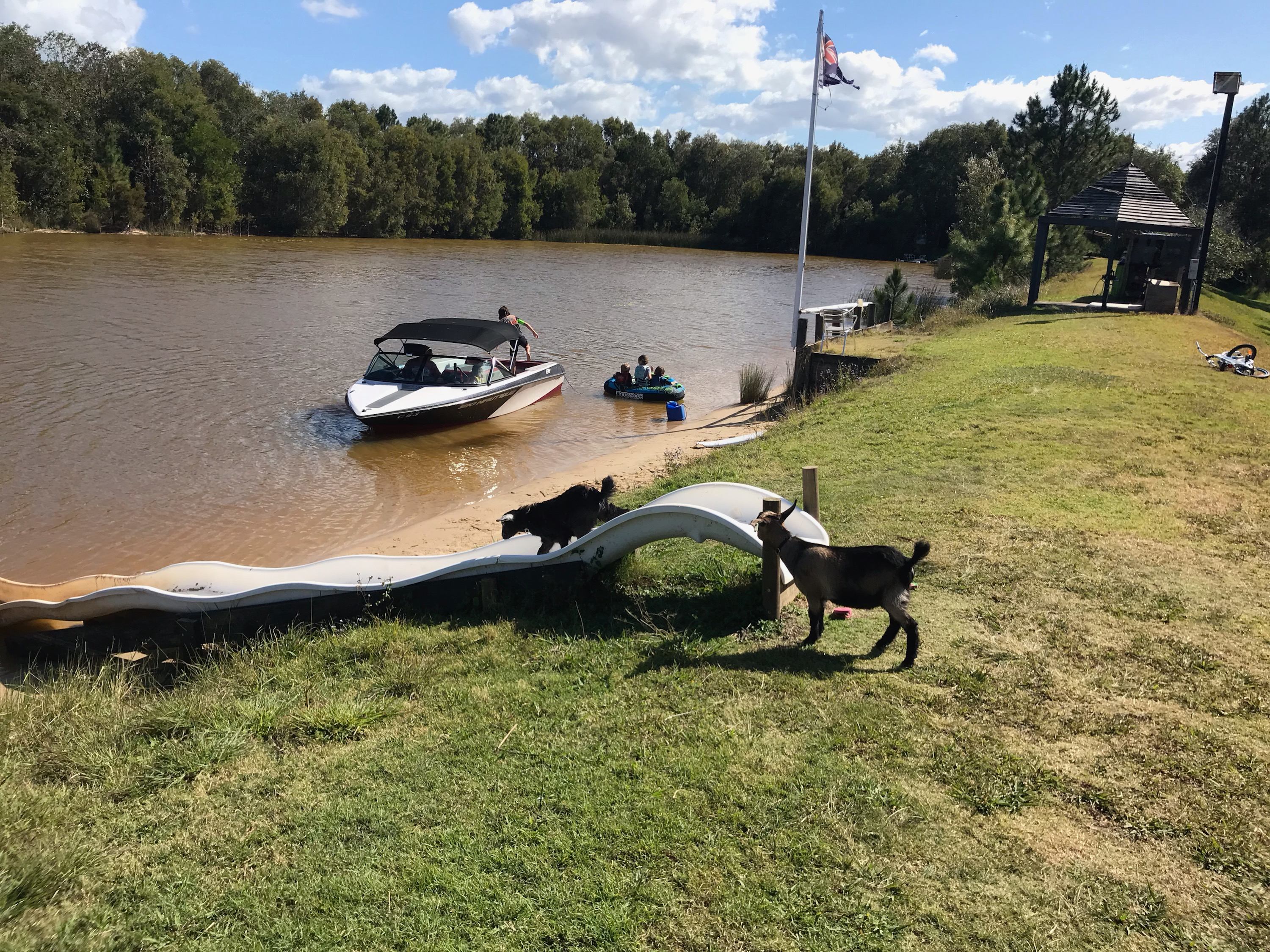 Bushywood at Woodfordskilake