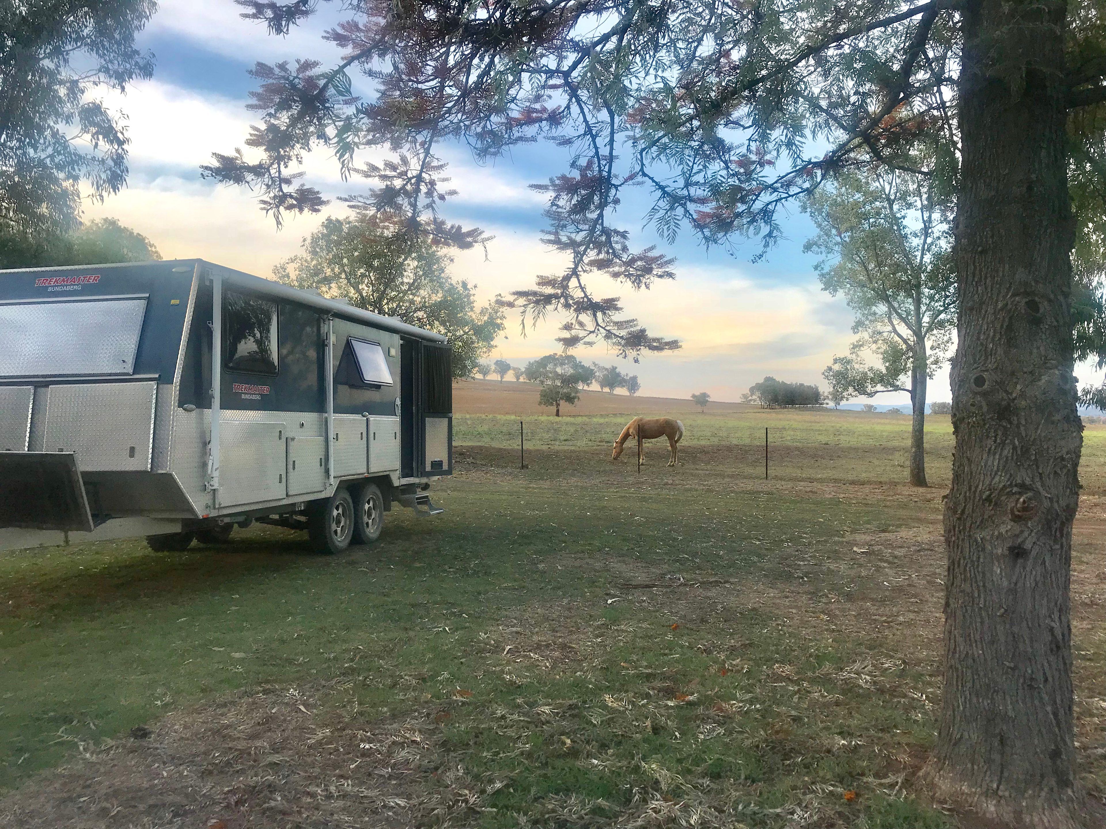 CLICK TO VIEW GALLERY