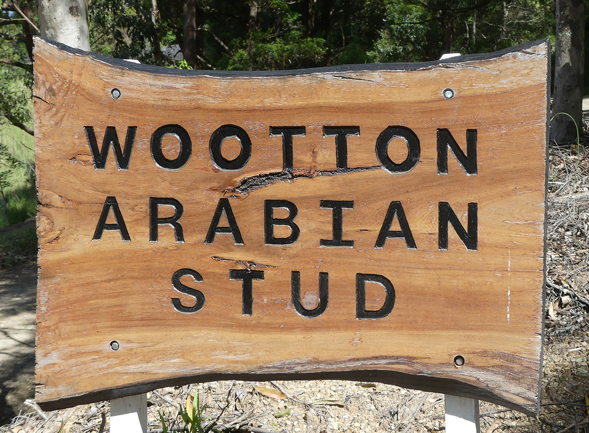 turn right when you see this!