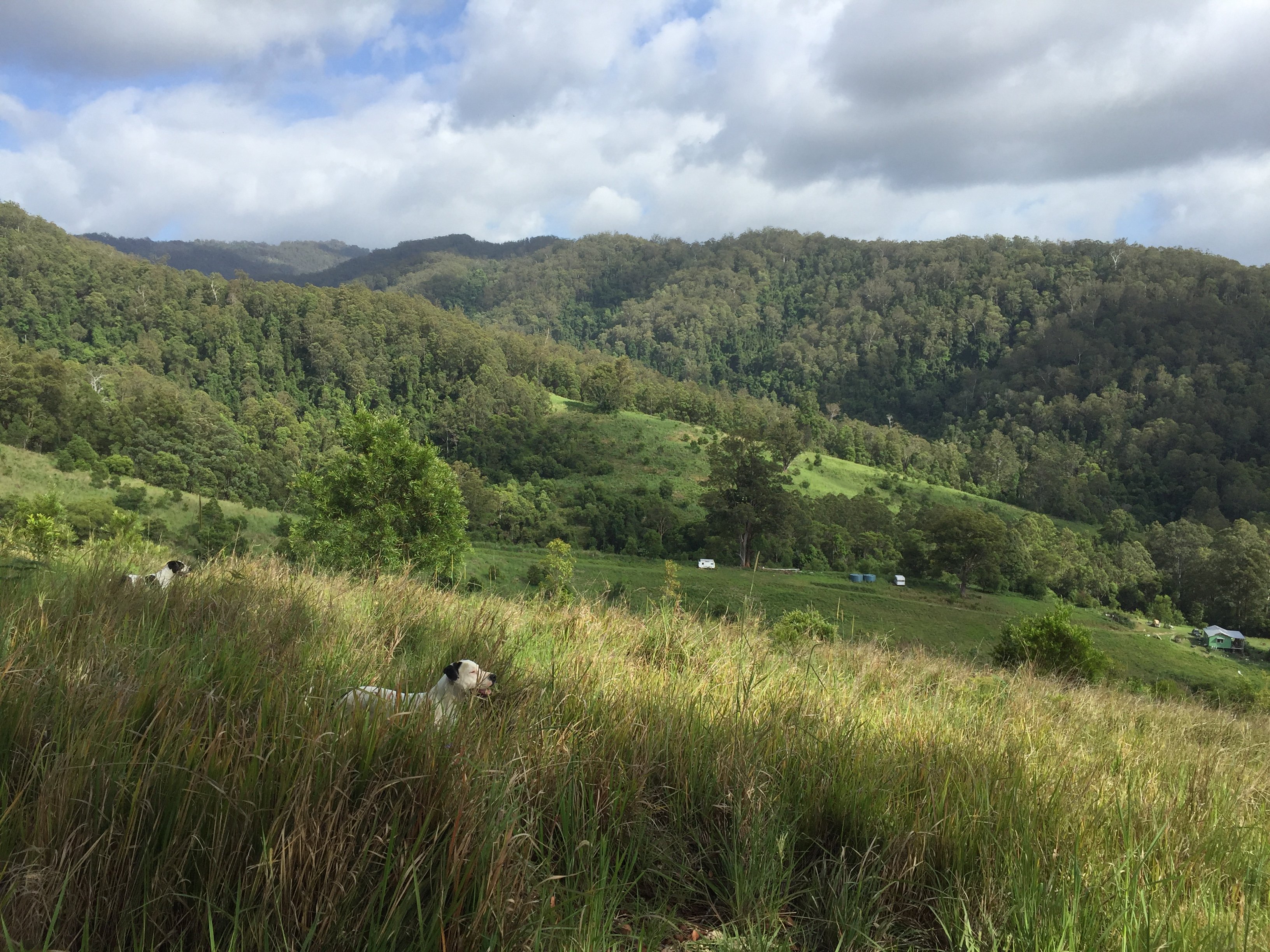 CLICK TO VIEW GALLERY