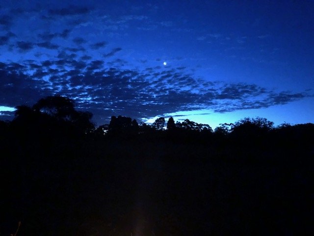 Misty Mountain Farm - Farm Stay