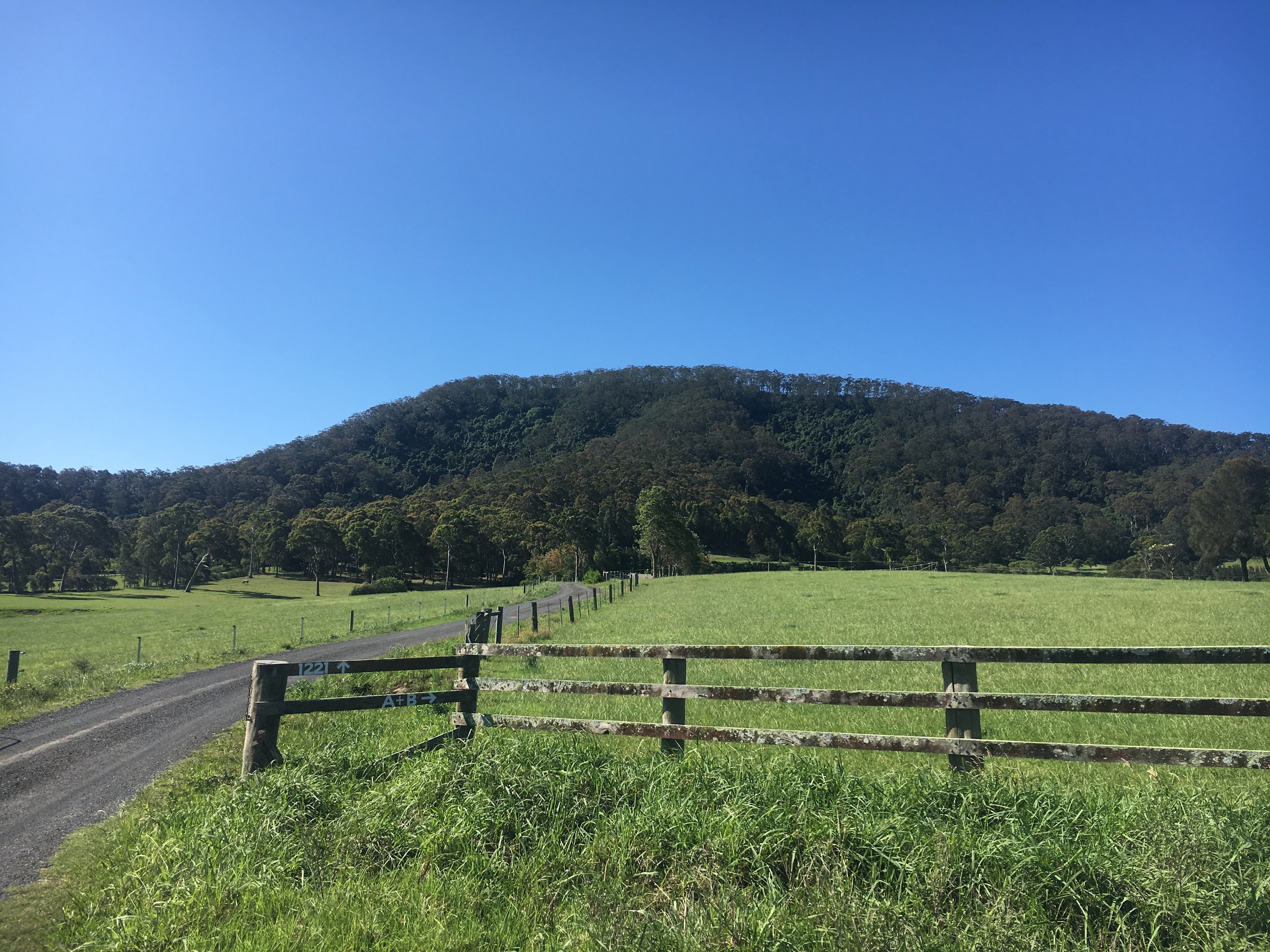 CLICK TO VIEW GALLERY