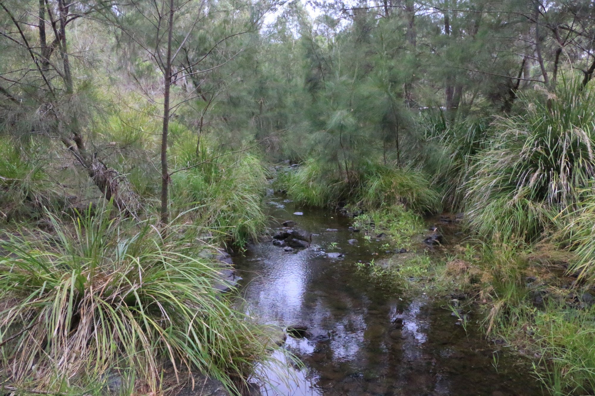 Listen to the creek sounds