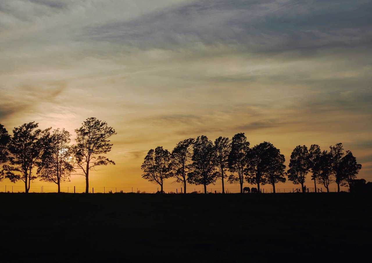 Misty Mountain Farm - Farm Stay