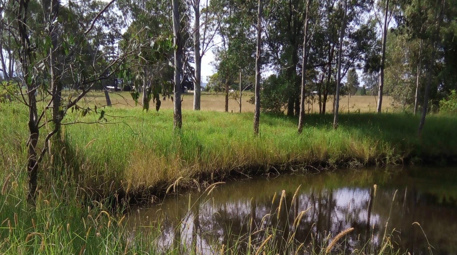 CLICK TO VIEW GALLERY