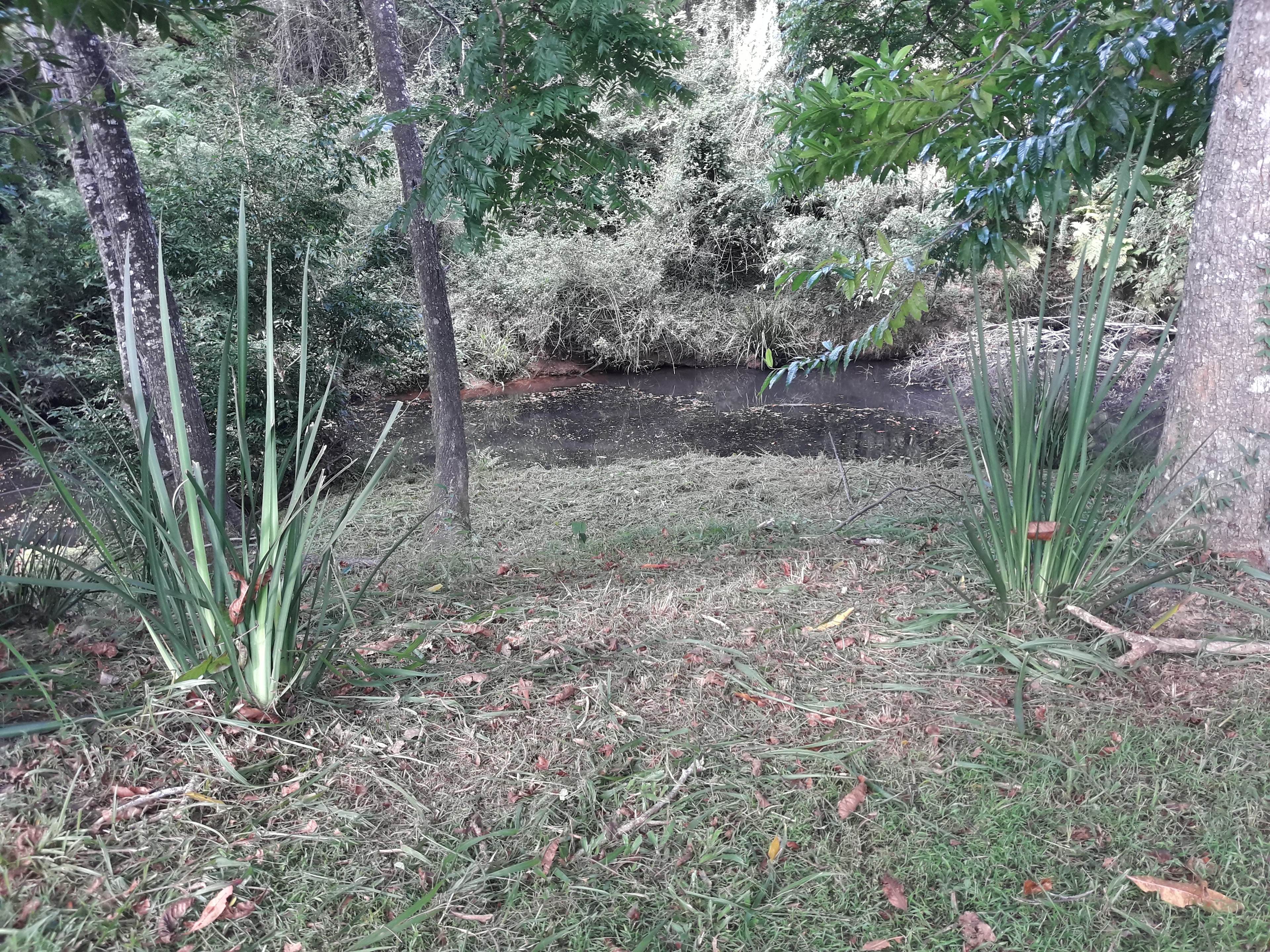 private, peaceful by the creek