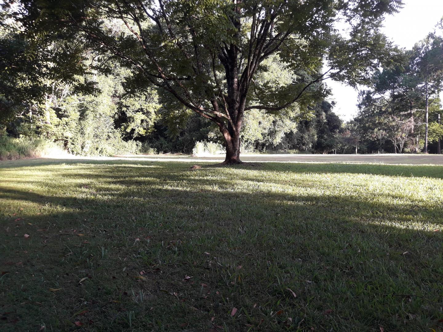 Tanah Suci (Sacred Ground)