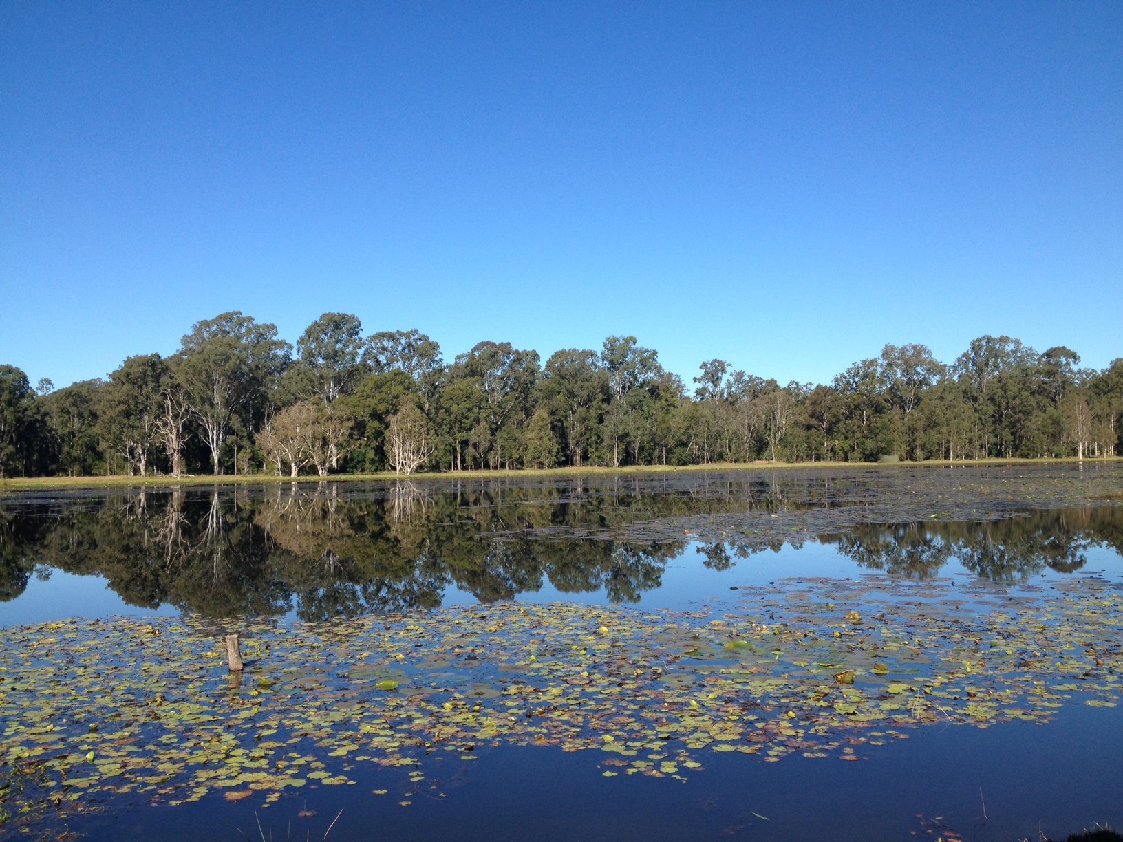 CLICK TO VIEW GALLERY