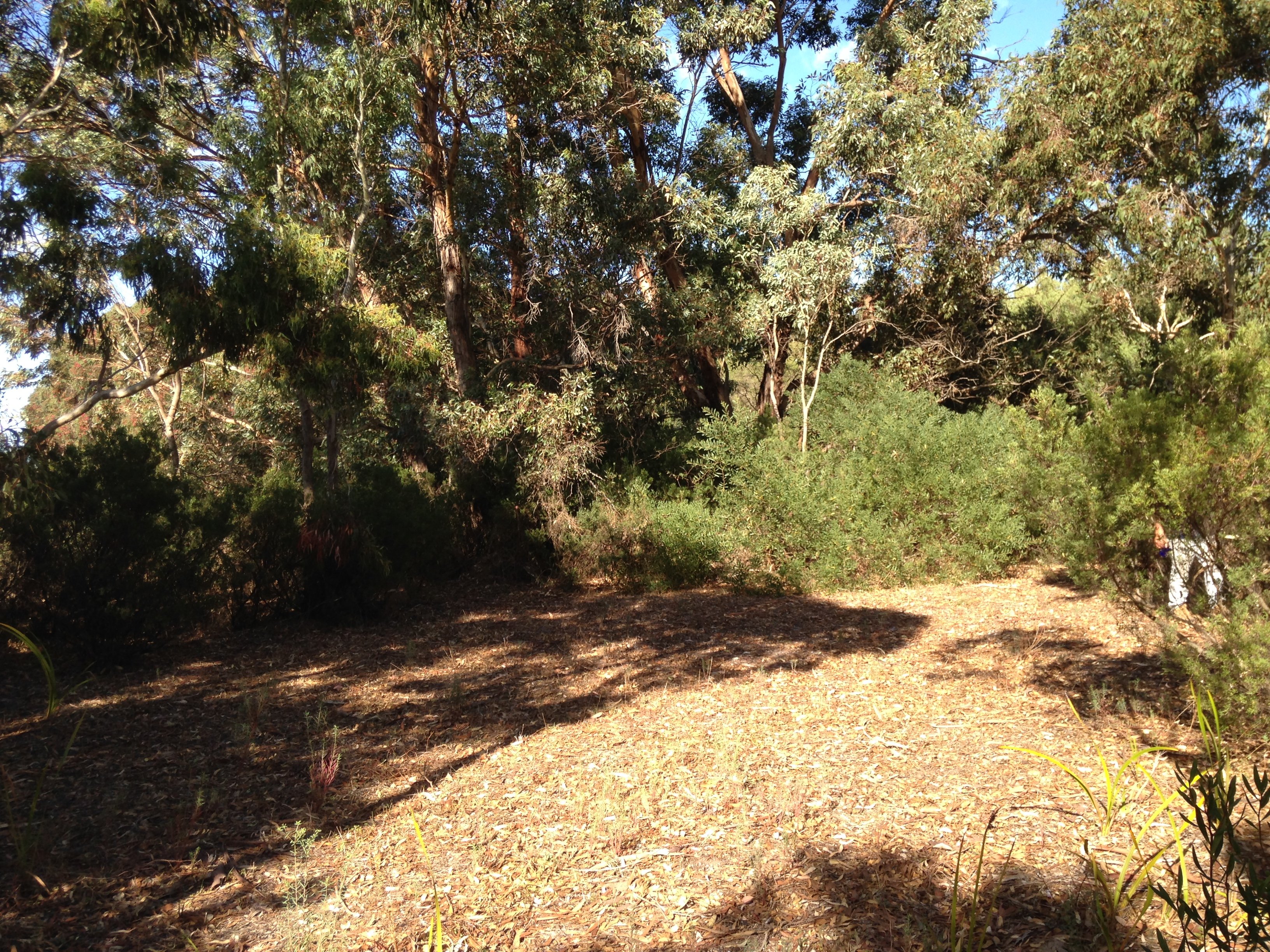 Robe Camel Farm - Self Contained Campers Only