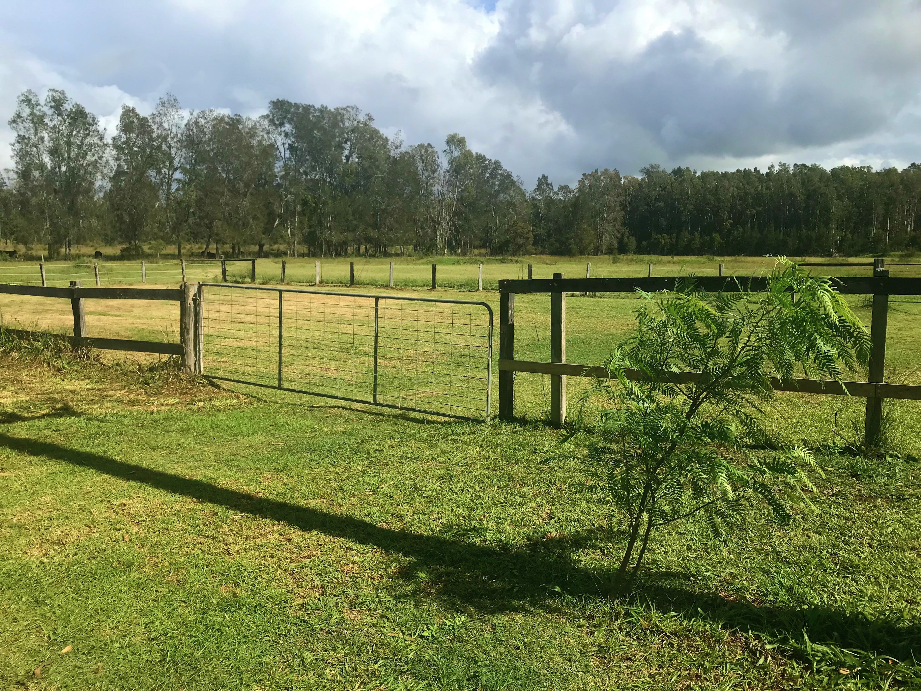 Fernbank Creek - Port Macquarie
