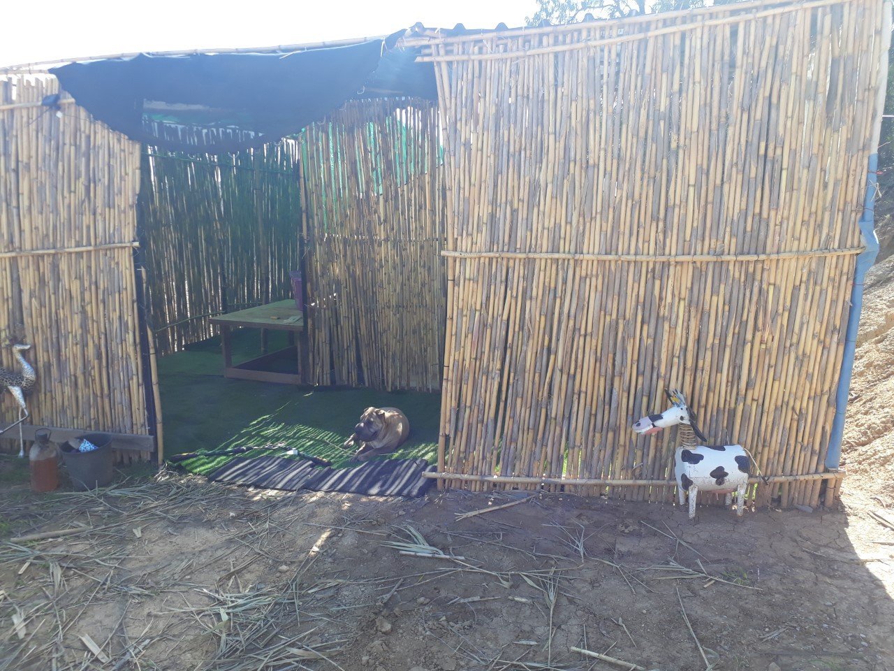 Echoes in the Valley Gatton Qld