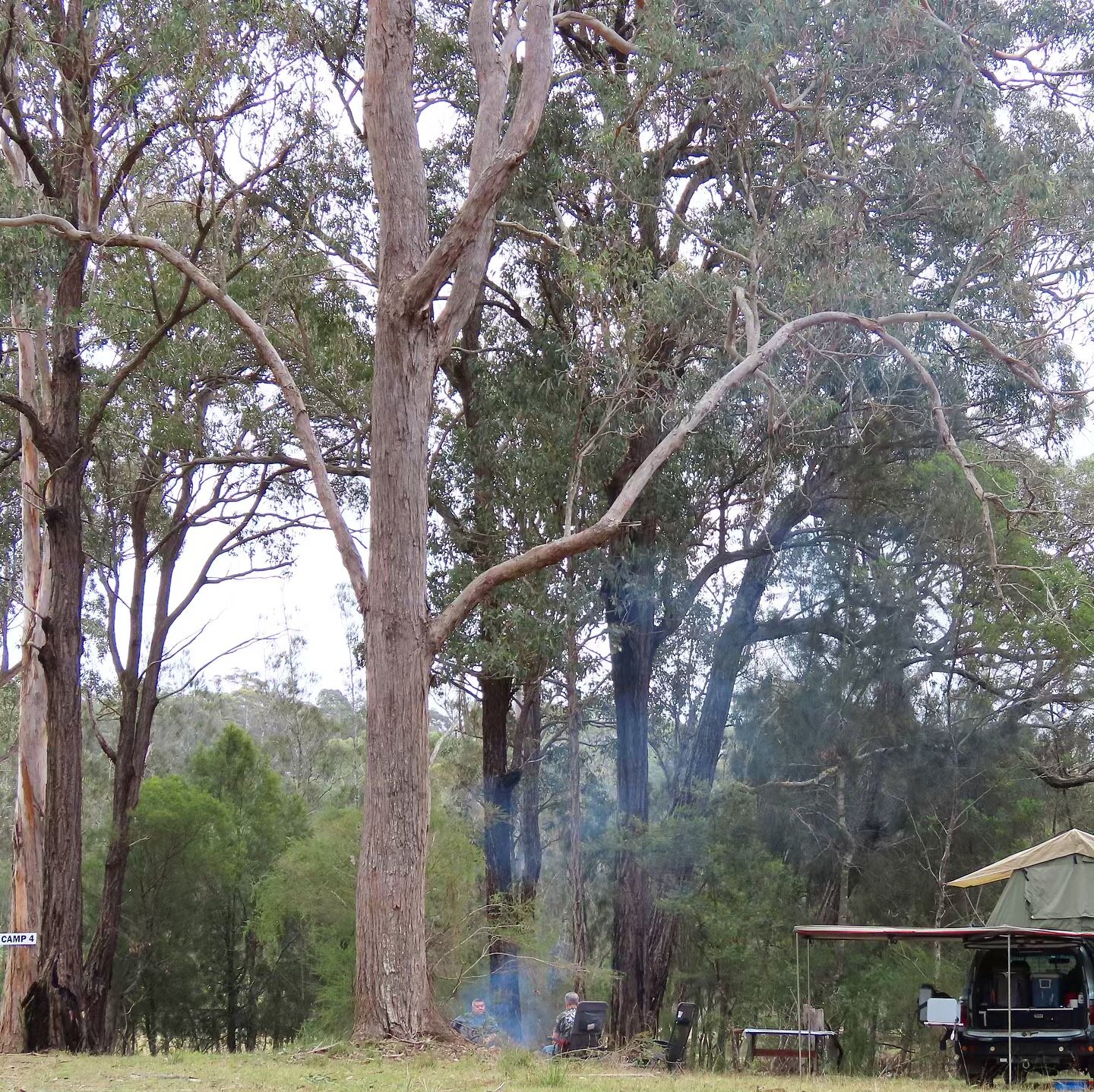 Guest @camping_cooking_chillin