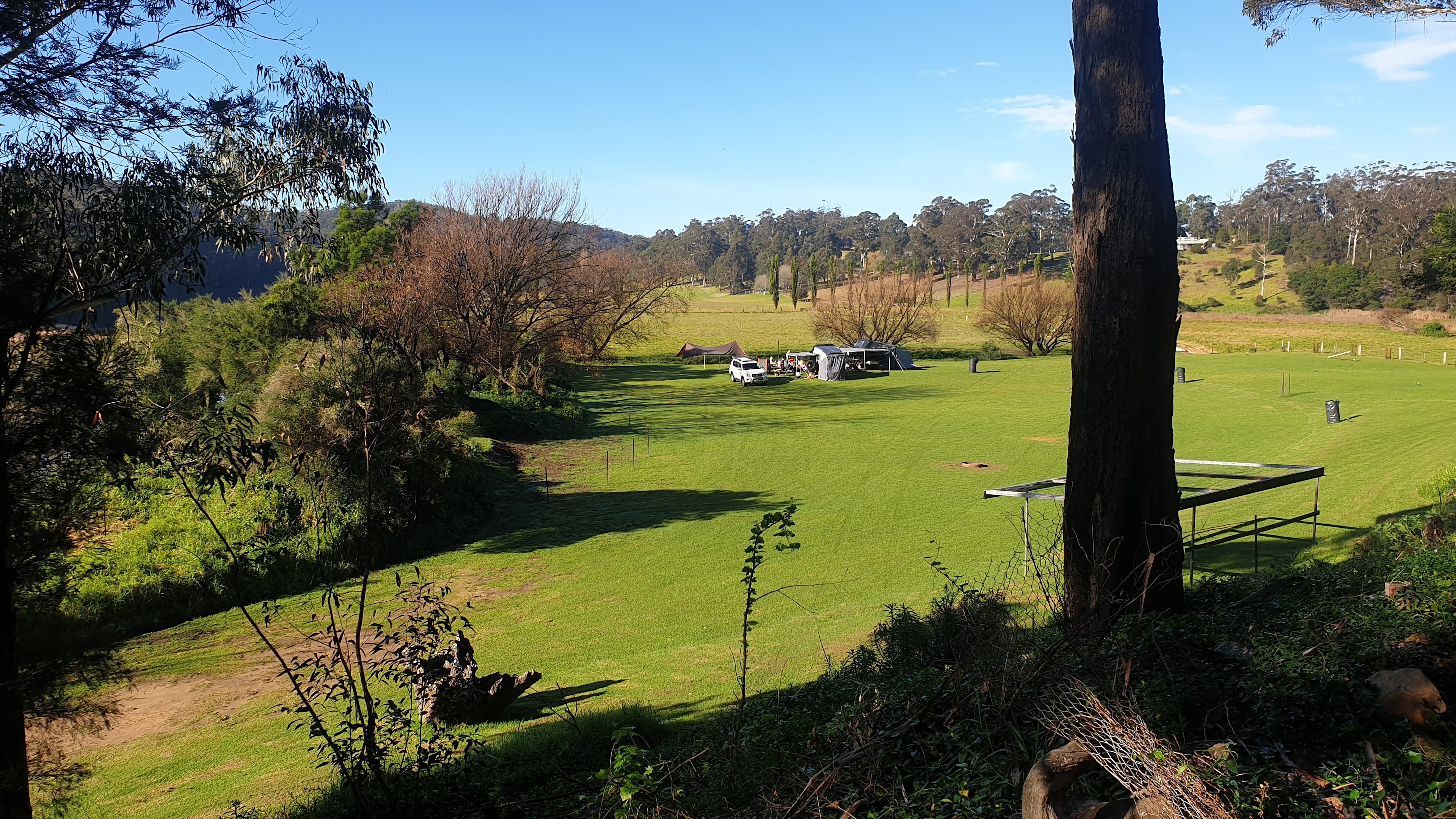 Lush, level green grass. A camper's dream!