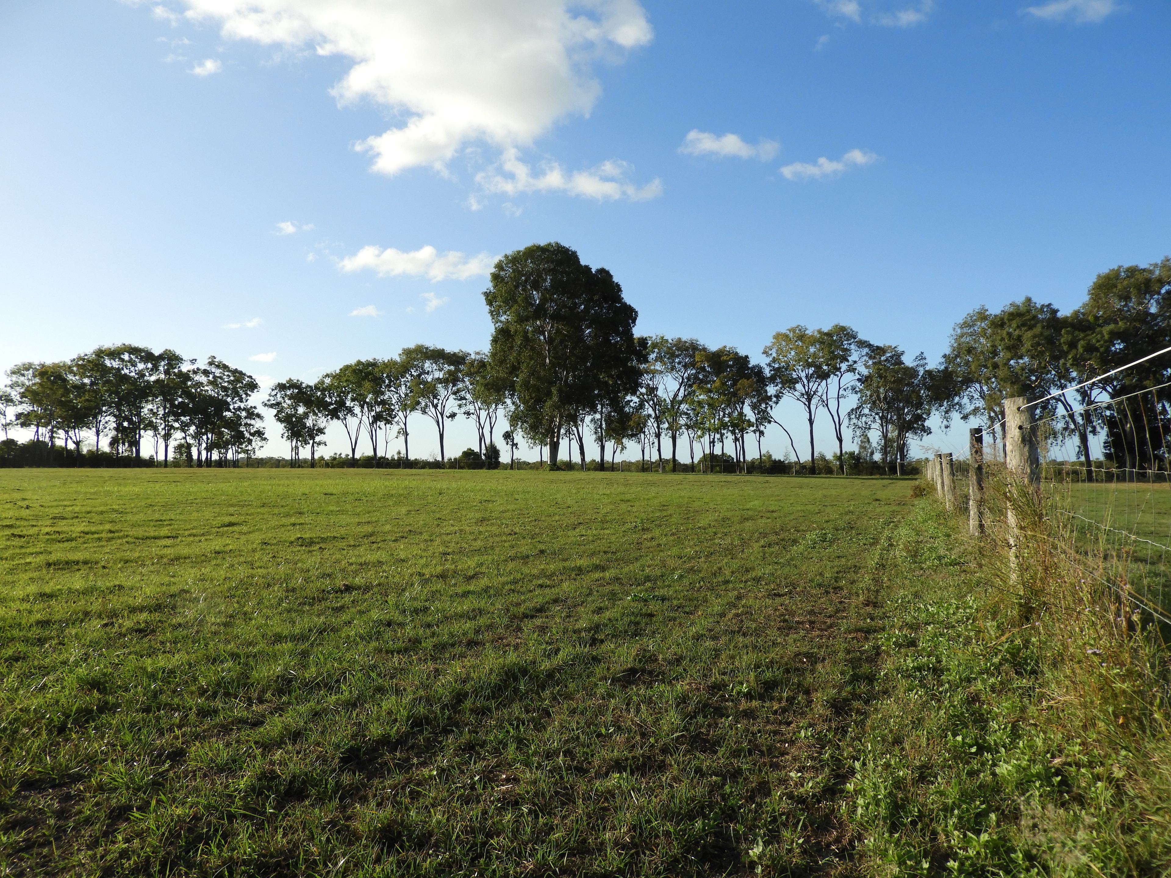 Big spaces to camp and play