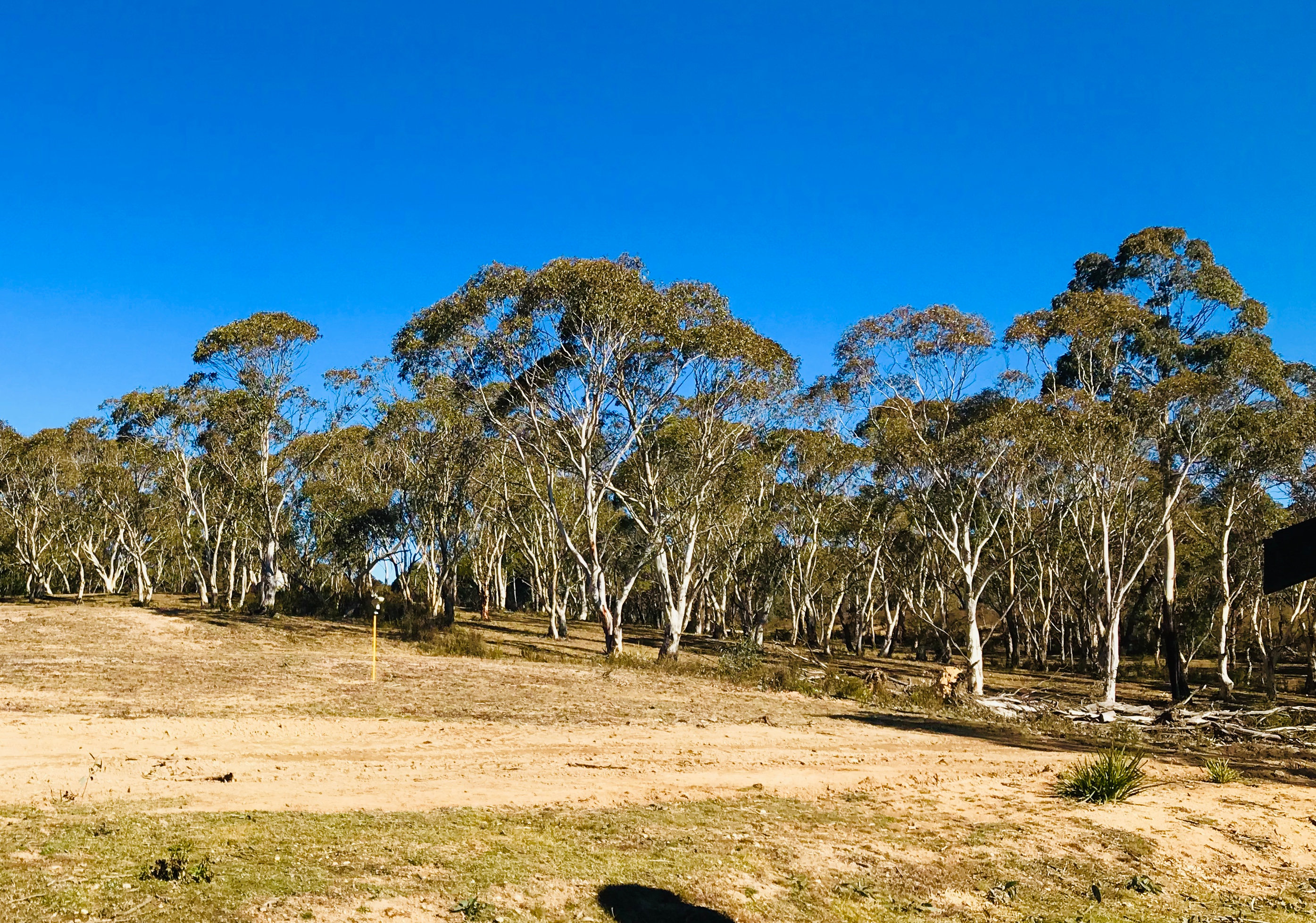 Open spaces in sun or shade