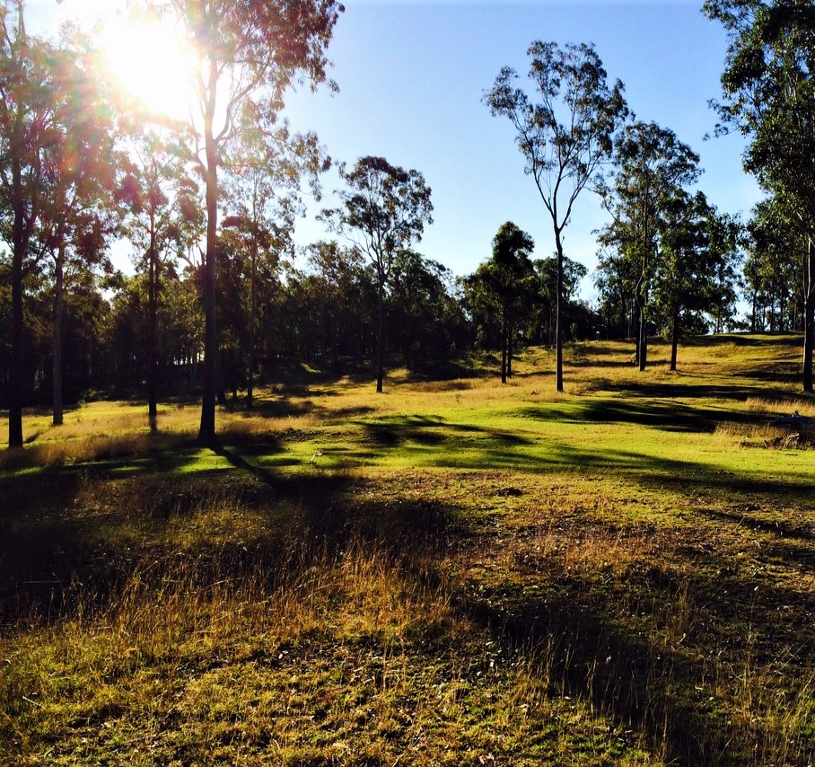 CLICK TO VIEW GALLERY