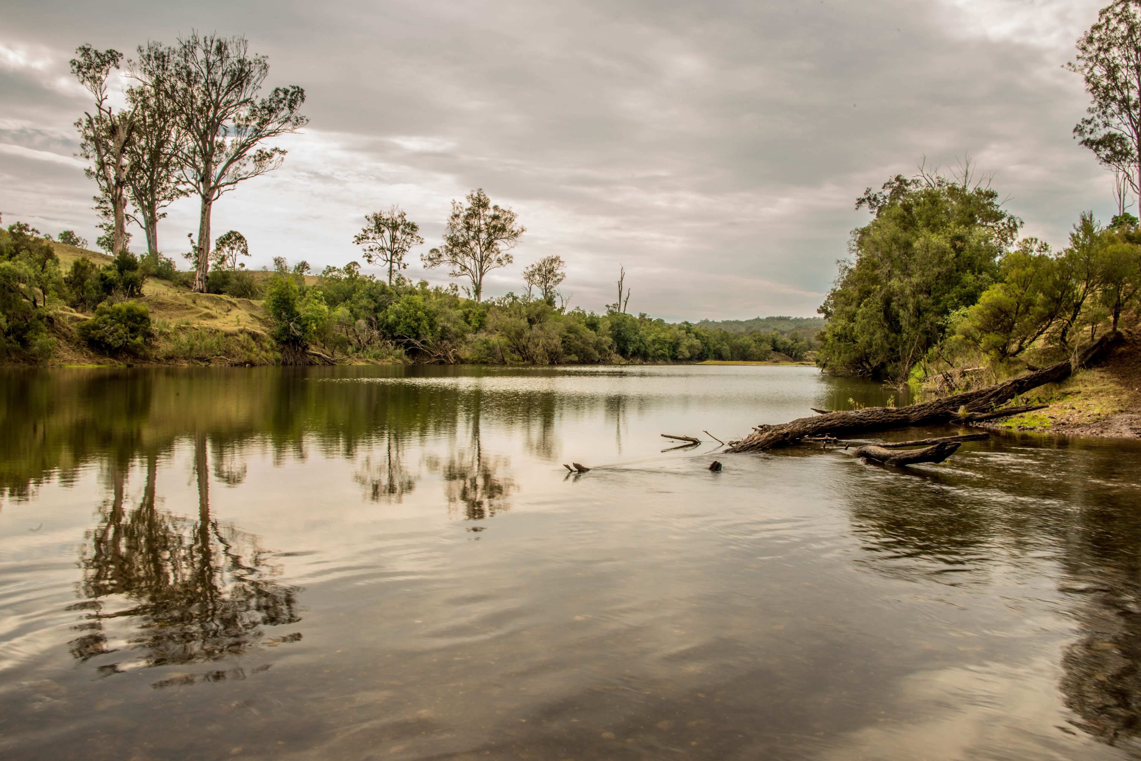 CLICK TO VIEW GALLERY