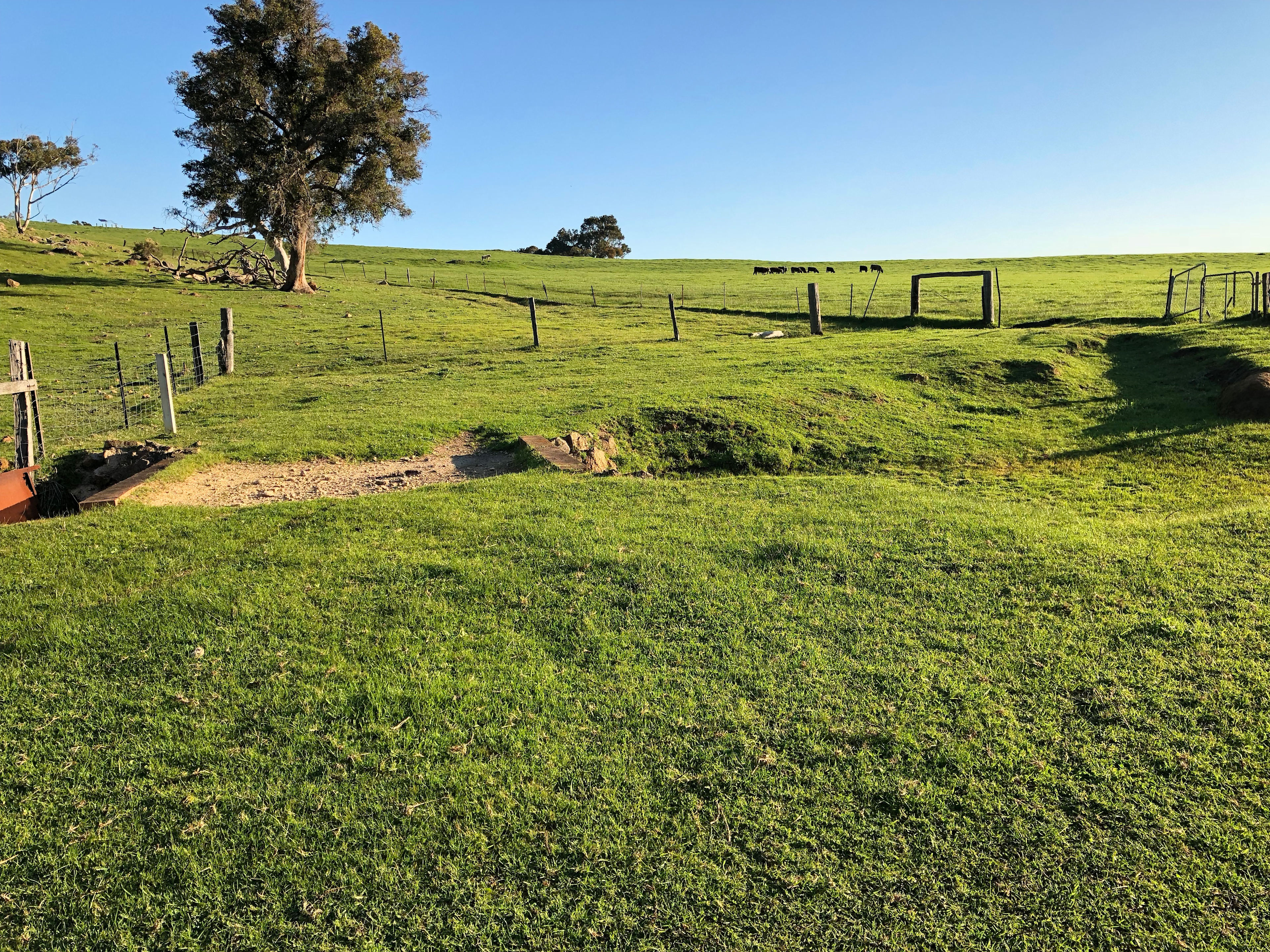 Bridge to camp sites