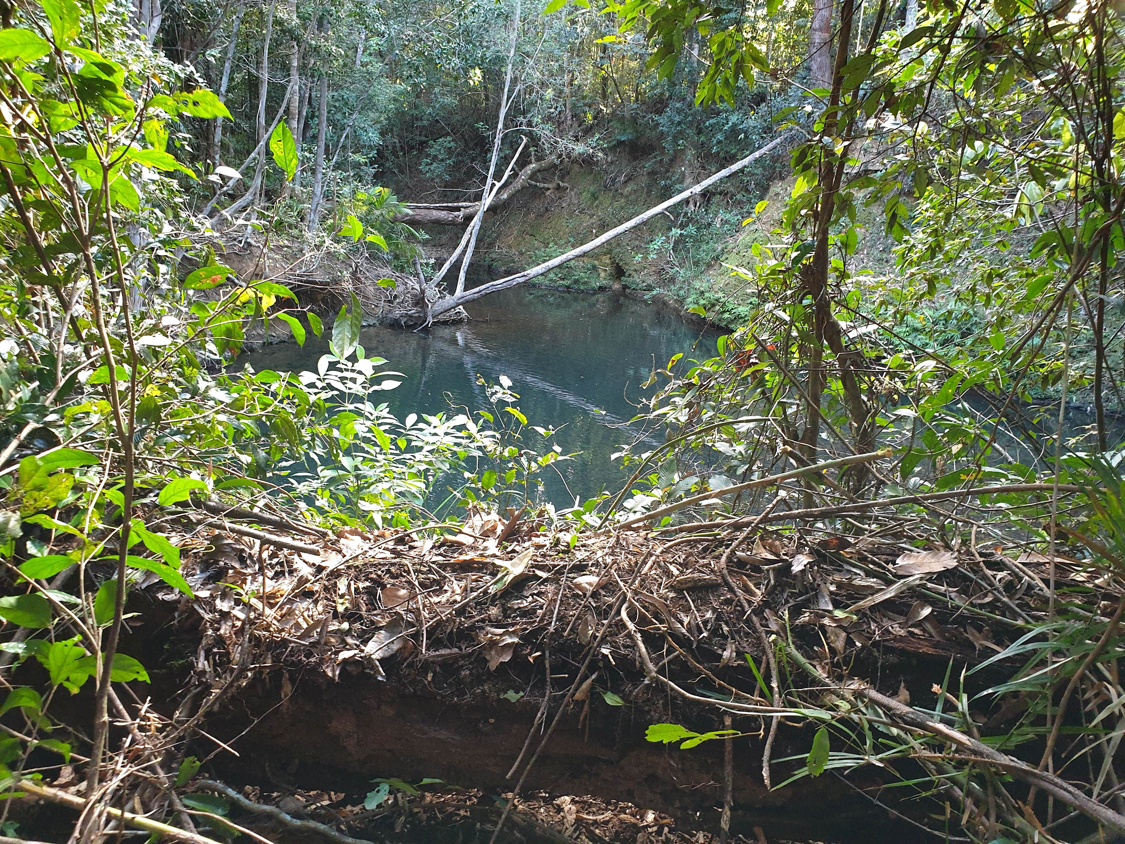 Swimming hole