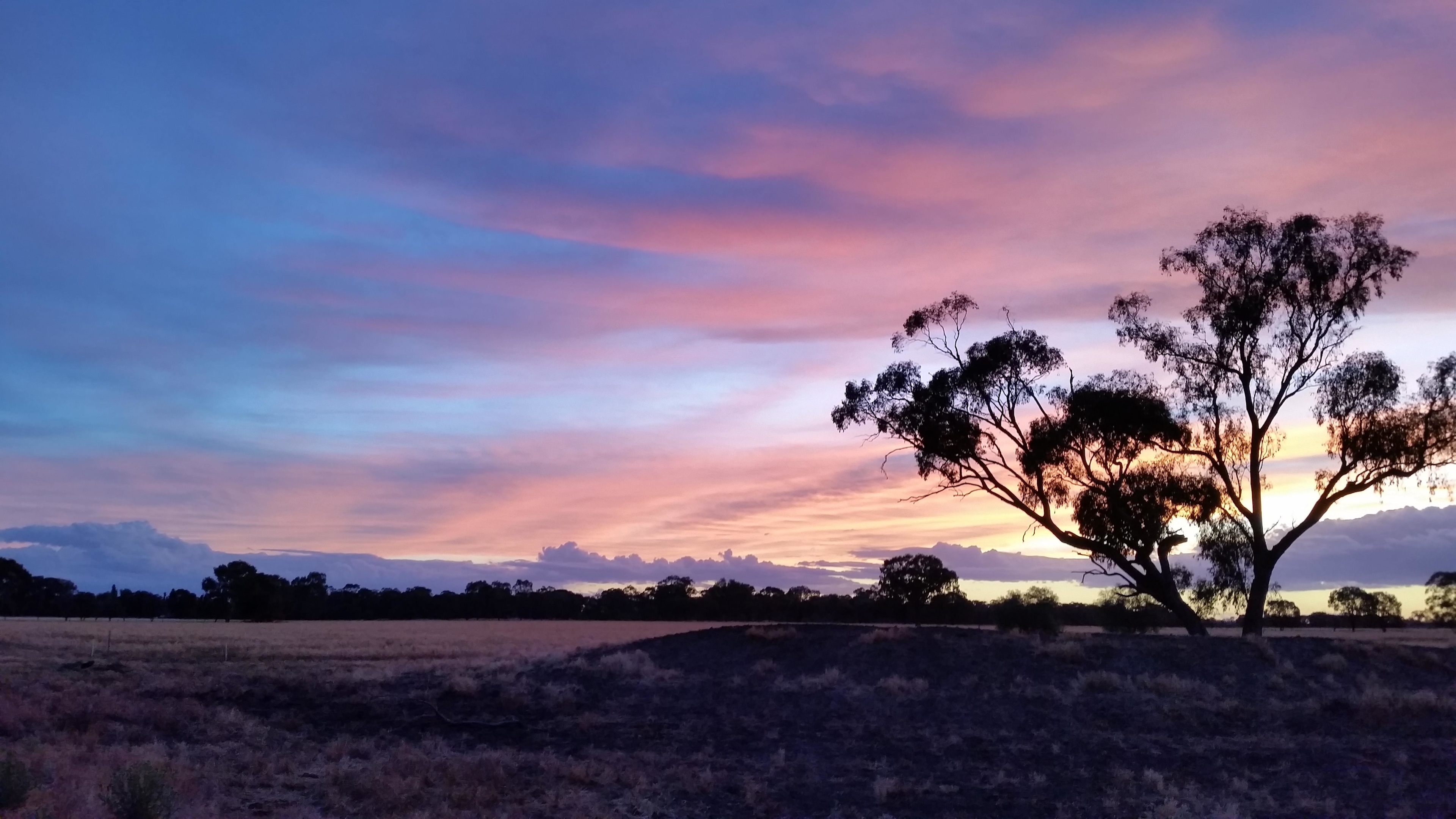 Beautiful sunsets
