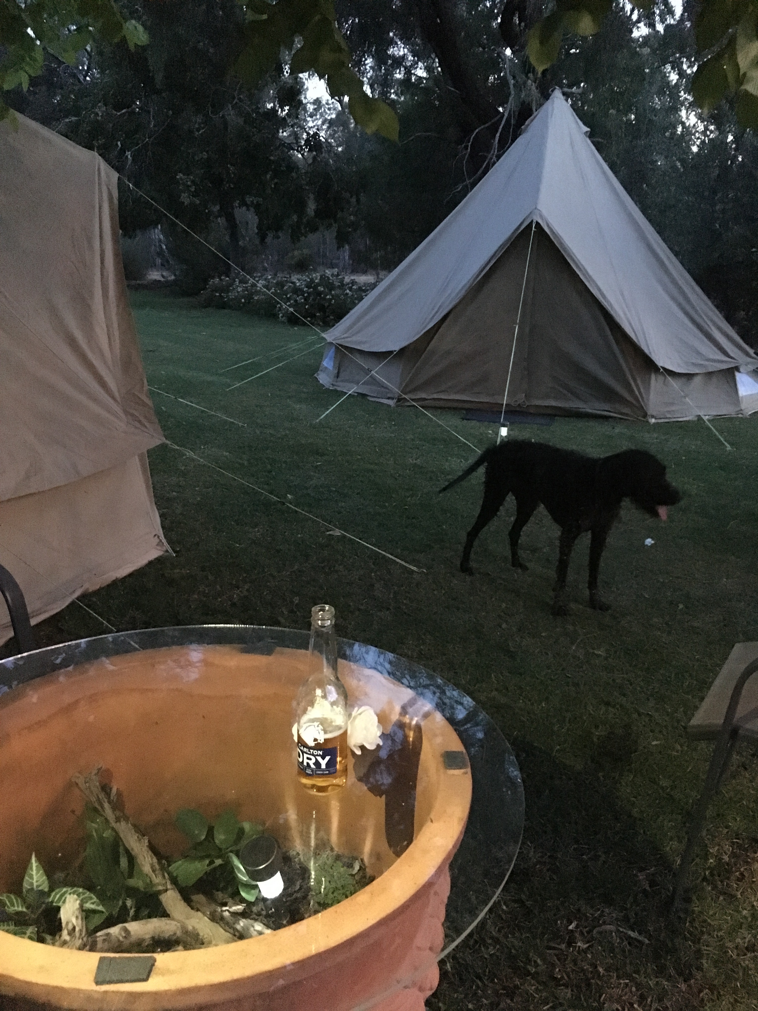 Near the pool on the lawn