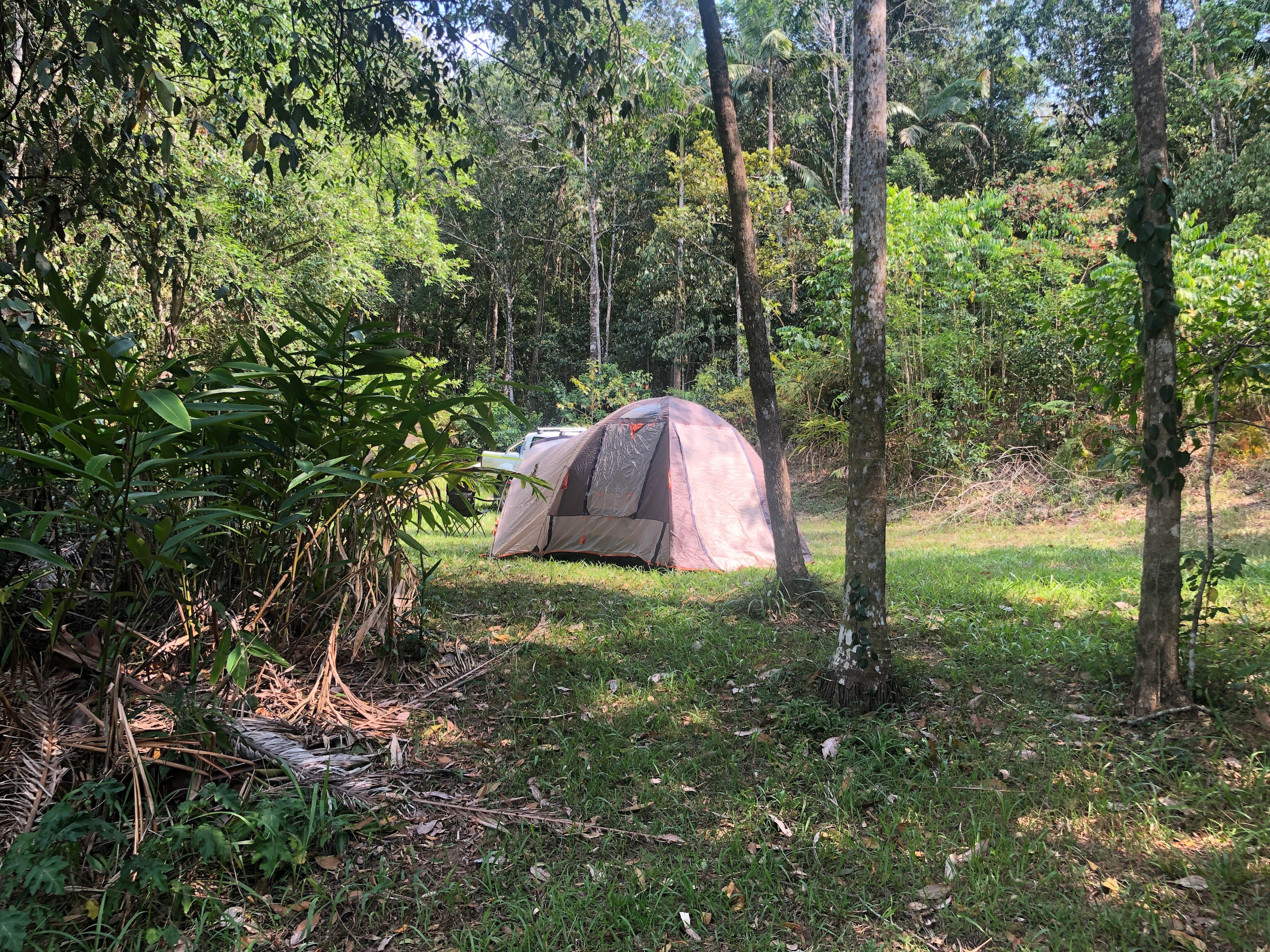 Raintree Hollow (Base Camp) - Sunshine Coast