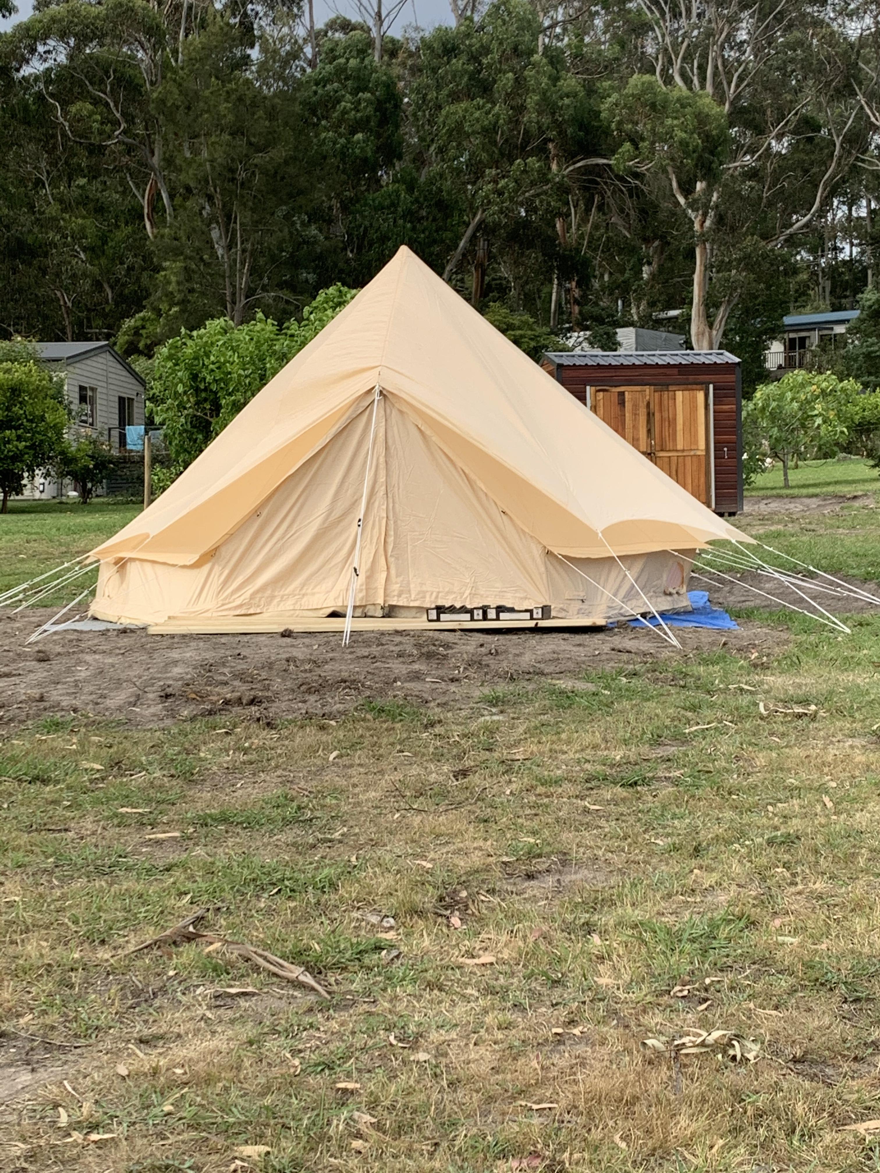Treetop Camping