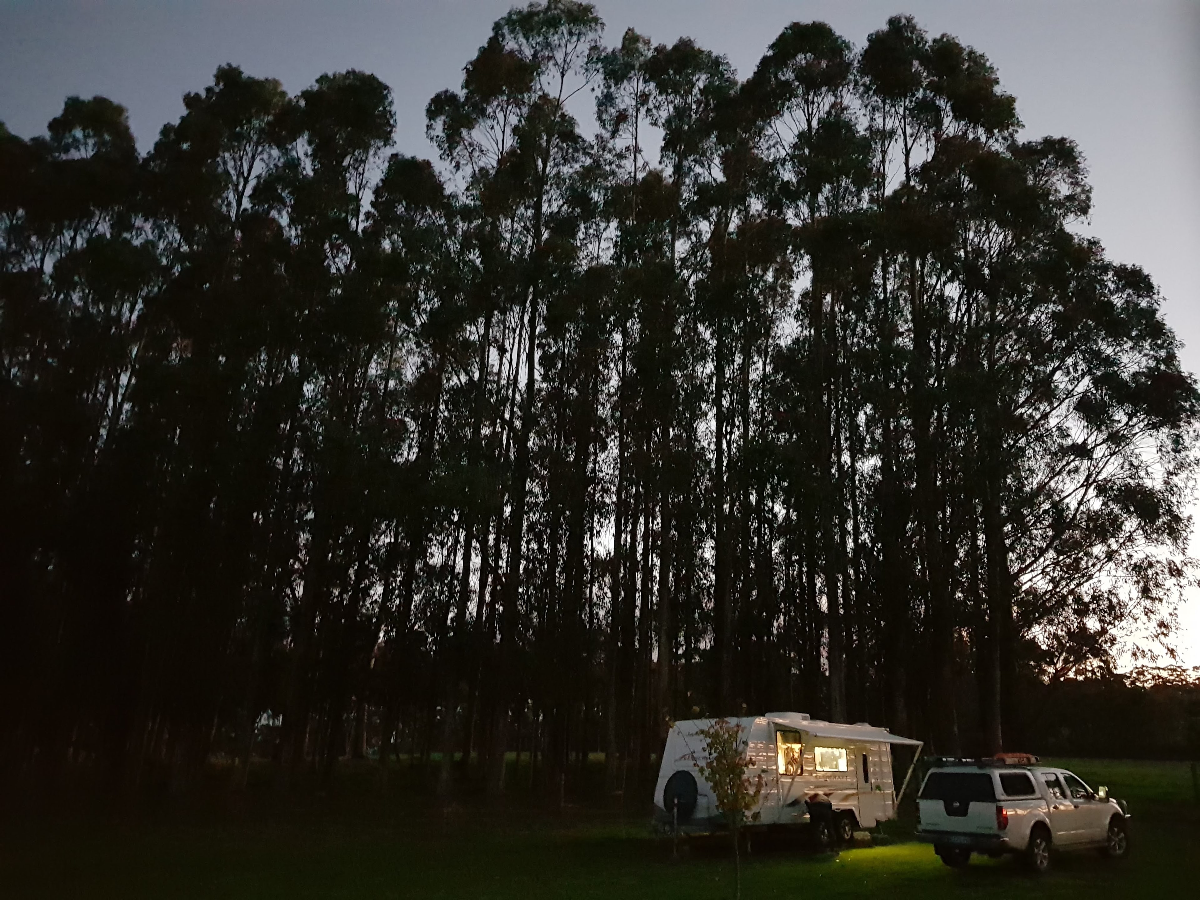 The breeze in the trees...