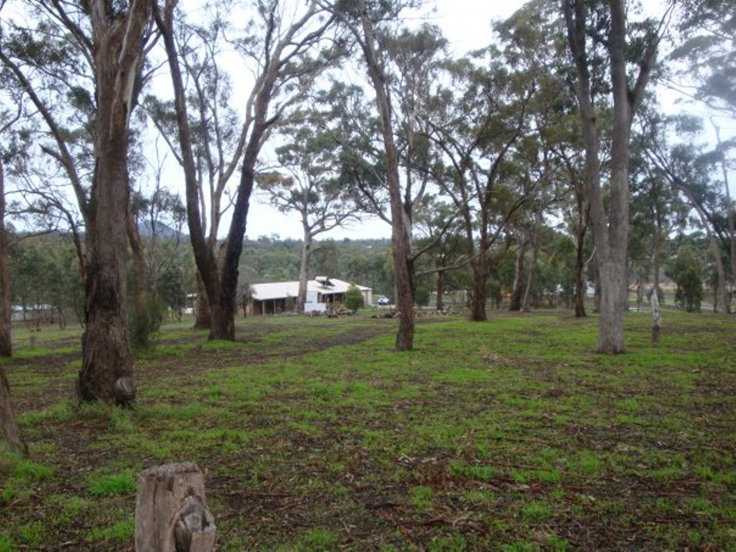 CLICK TO VIEW GALLERY