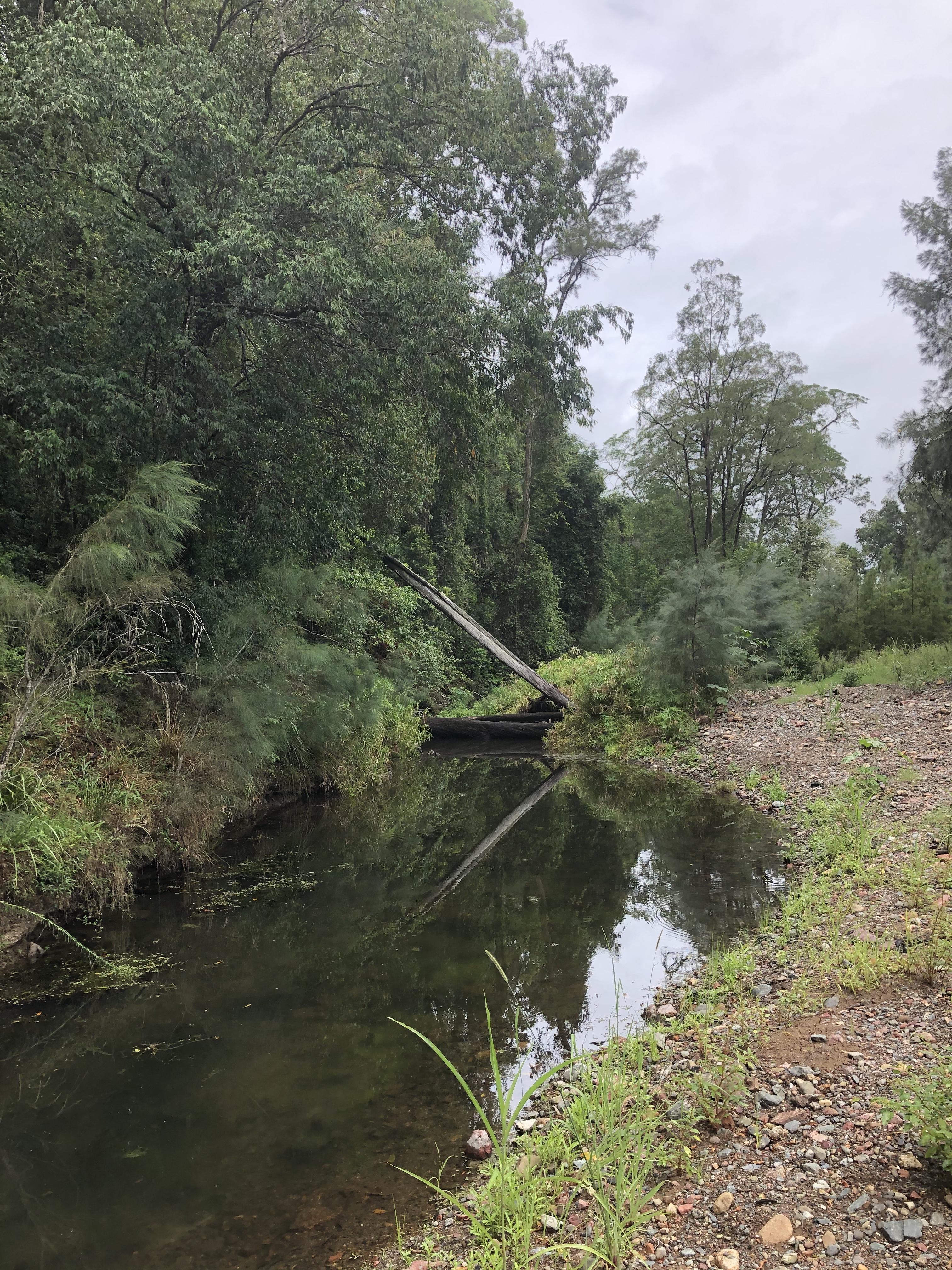 CLICK TO VIEW GALLERY