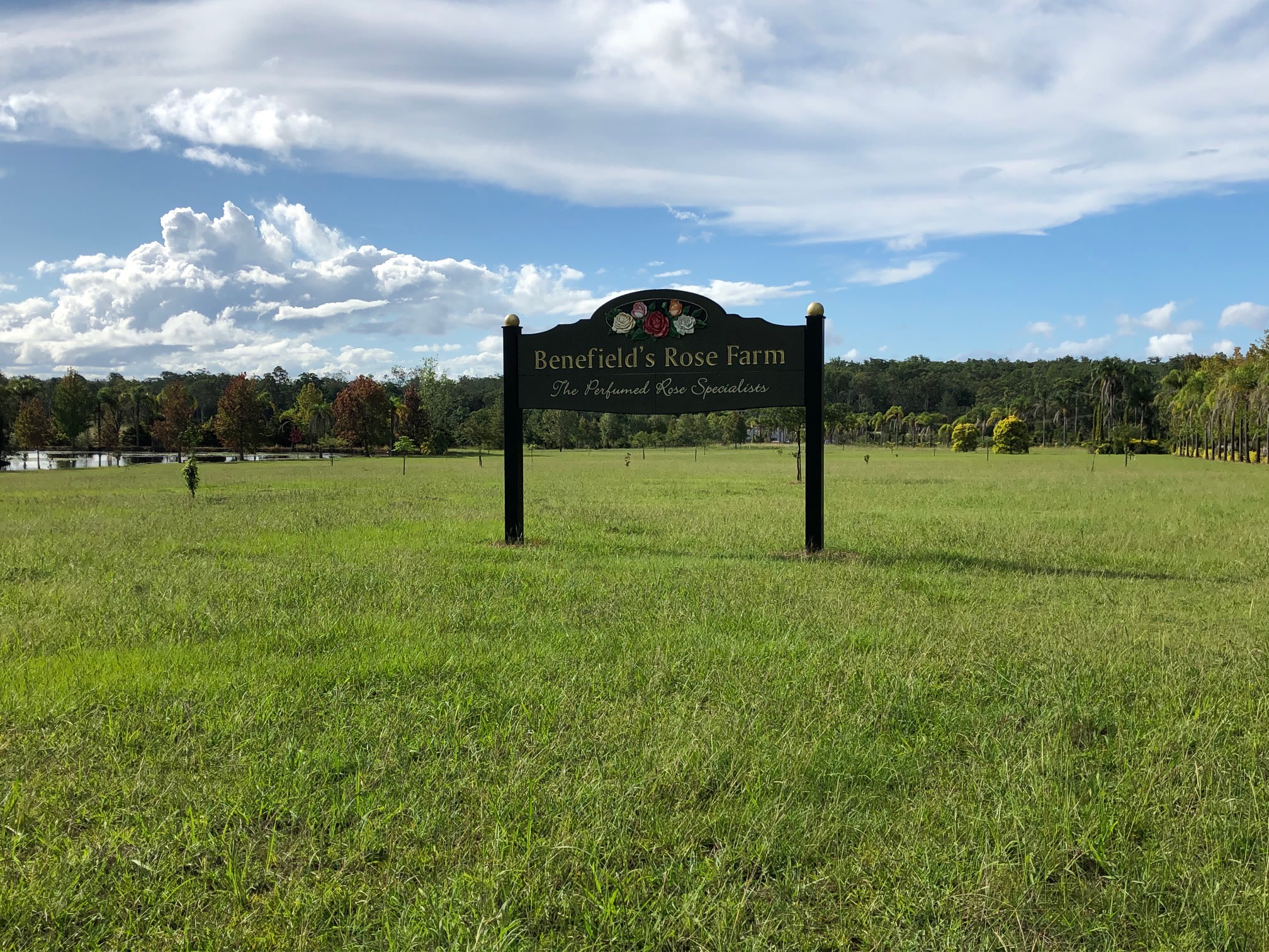 Wide open spaces