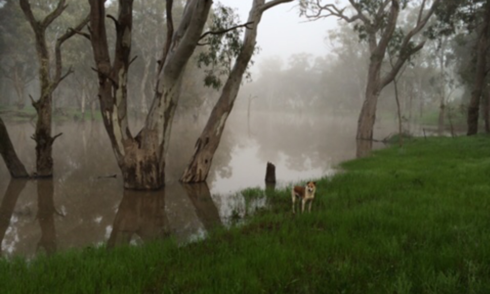 Jessy- exploring Broken creek