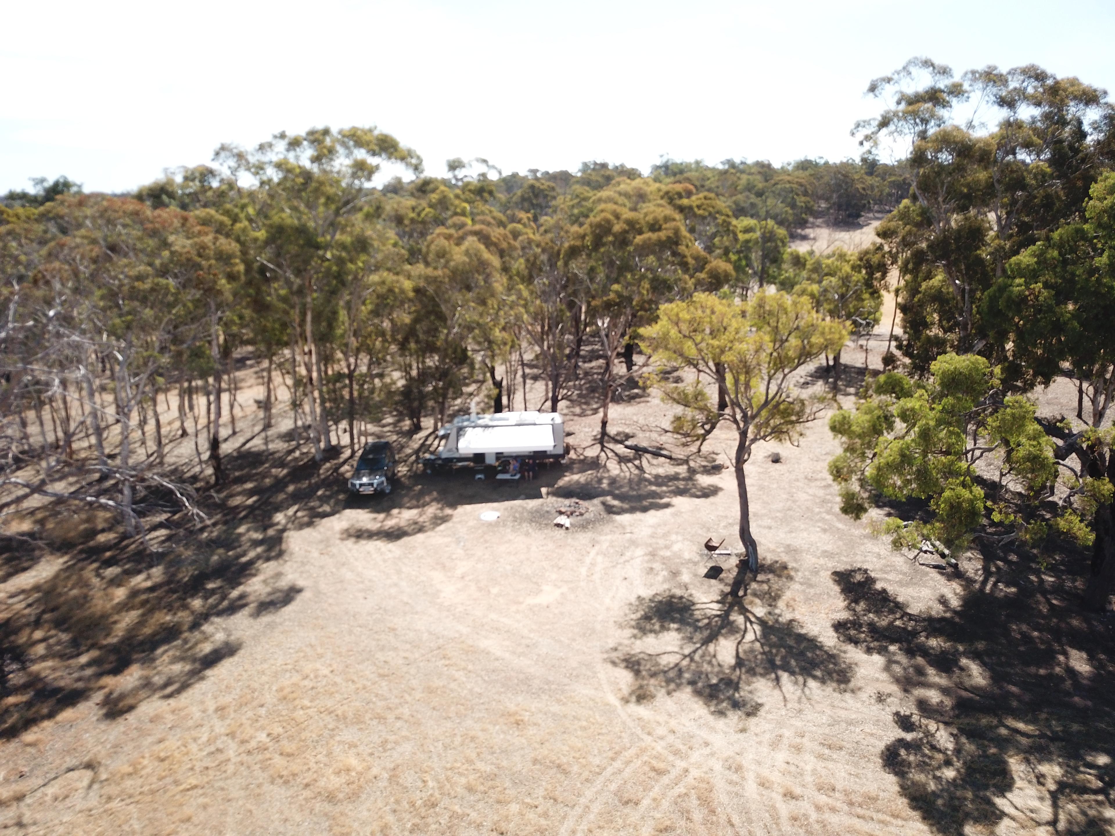 Plenty of options for shade