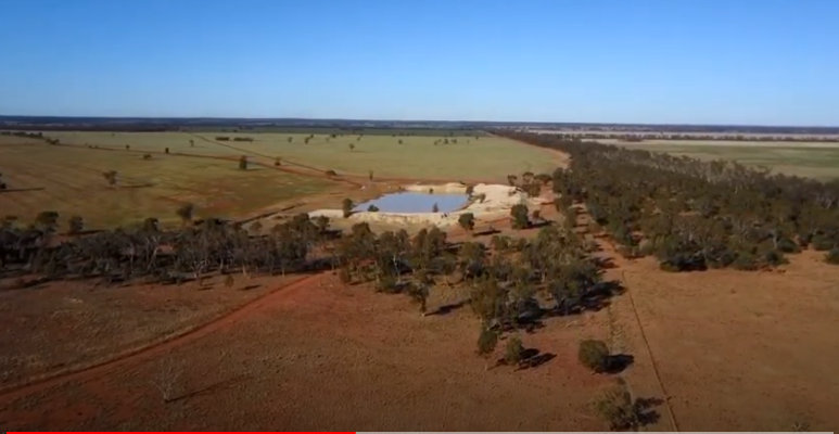 CLICK TO VIEW GALLERY