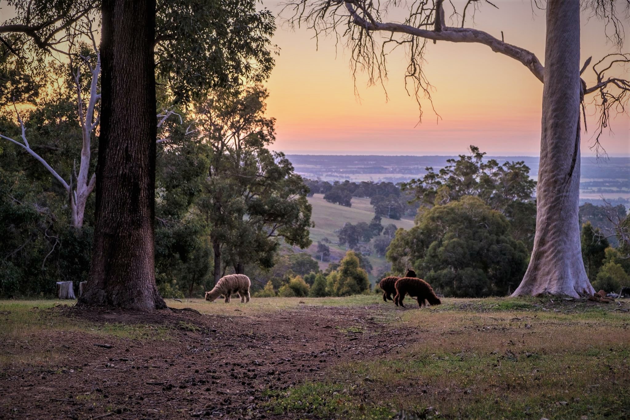 Click to view gallery