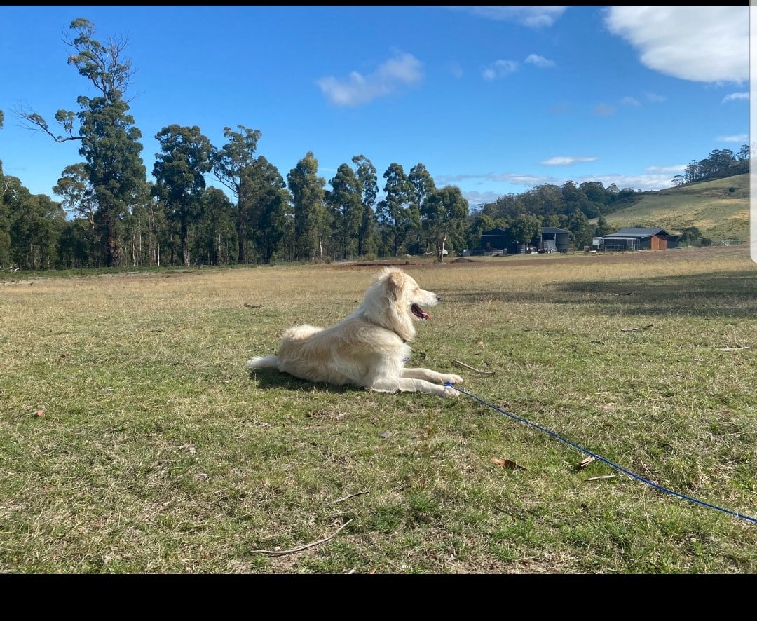 White Hill Nature Camp