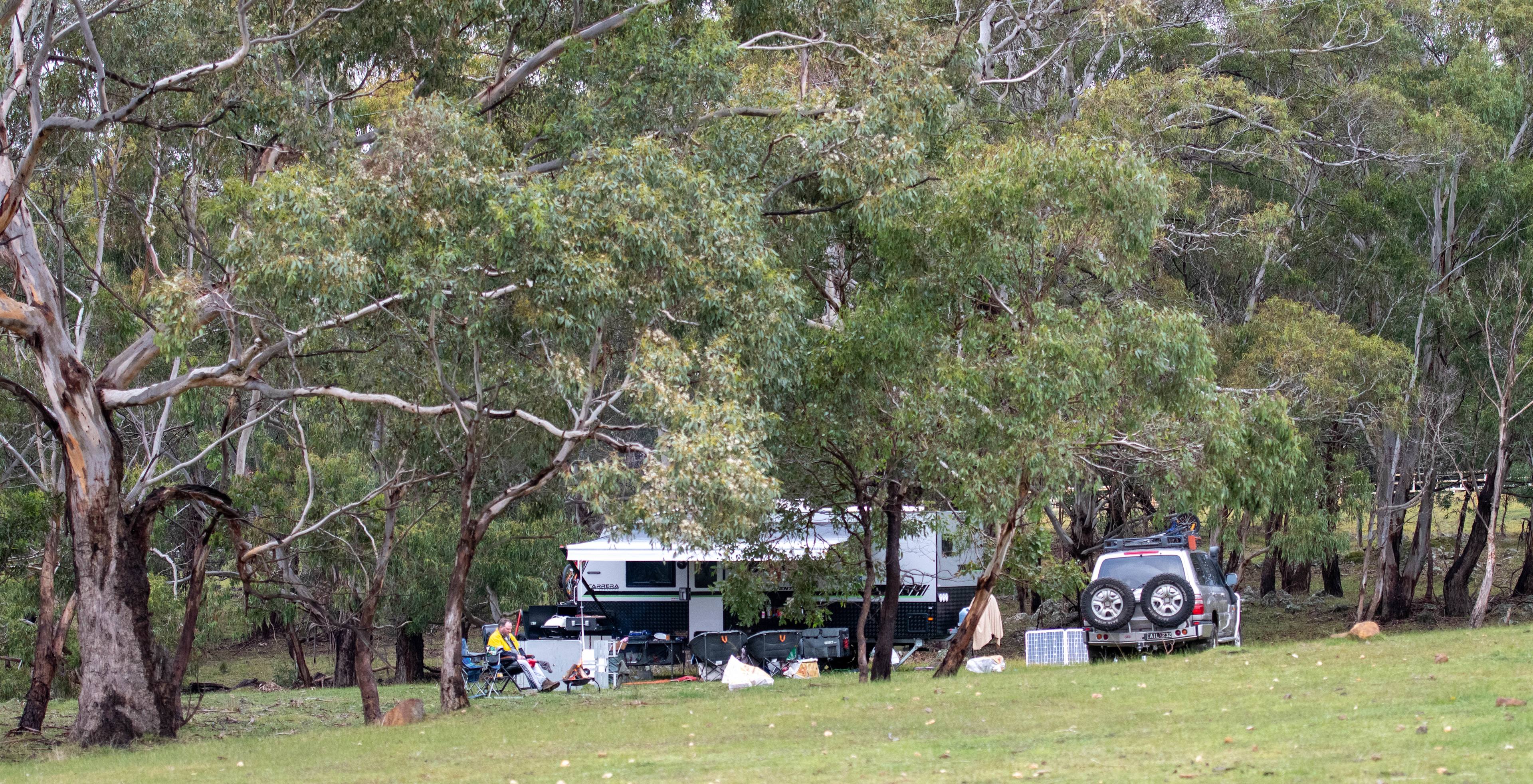 Galahad's Animal Sanctuary and B&B