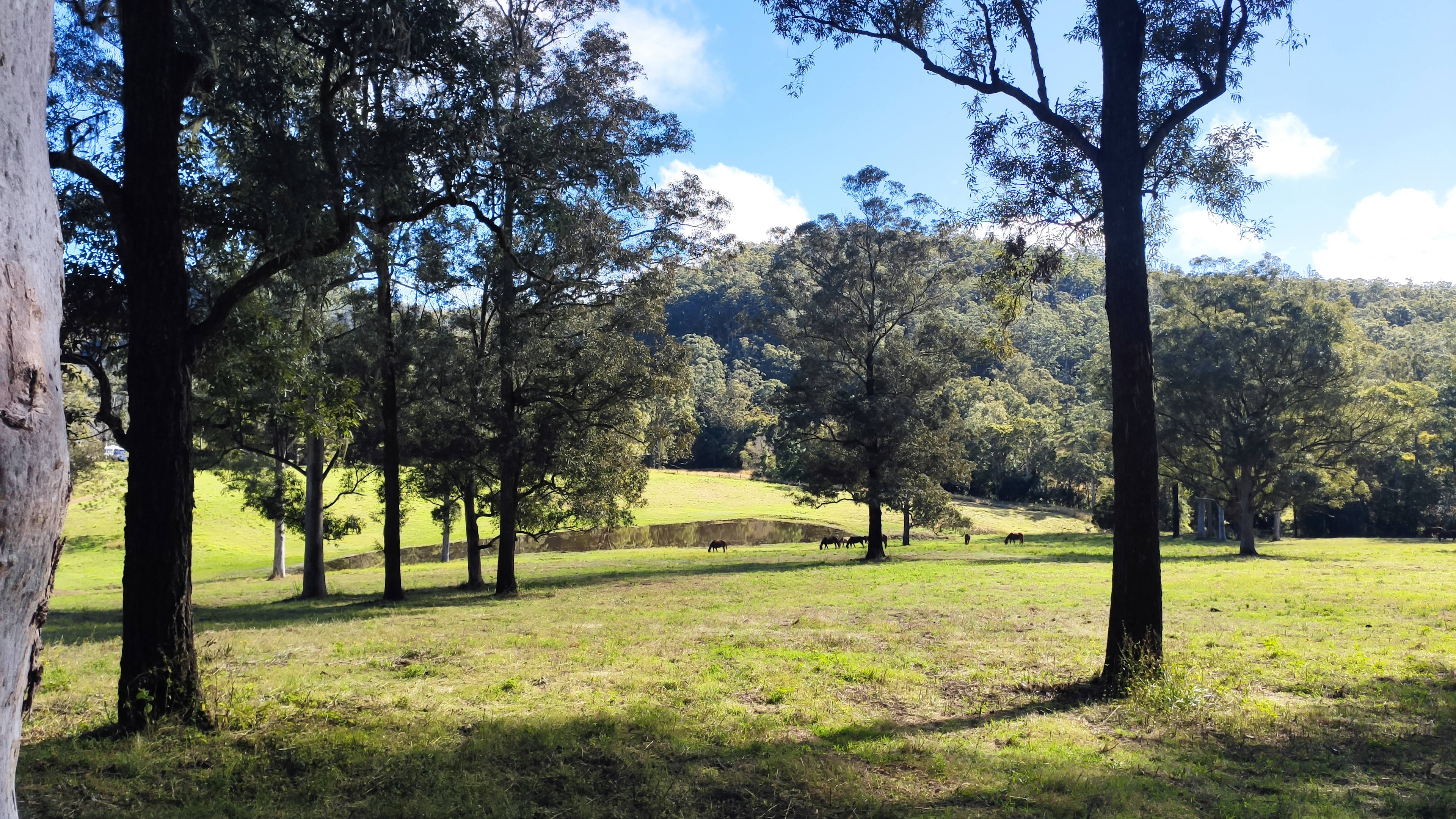 'Peaceful' Mistan Valley Farm
