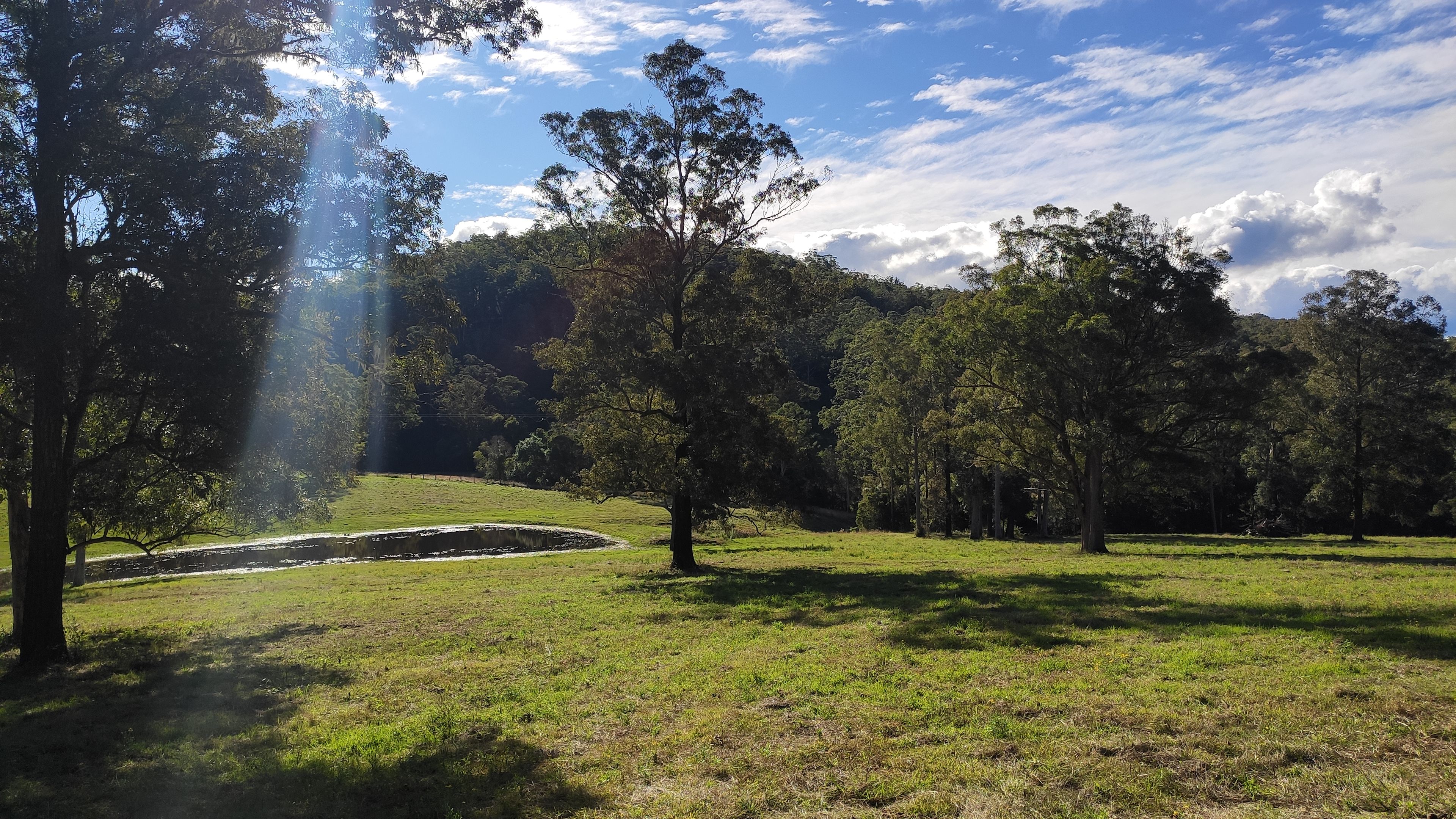 Site 2