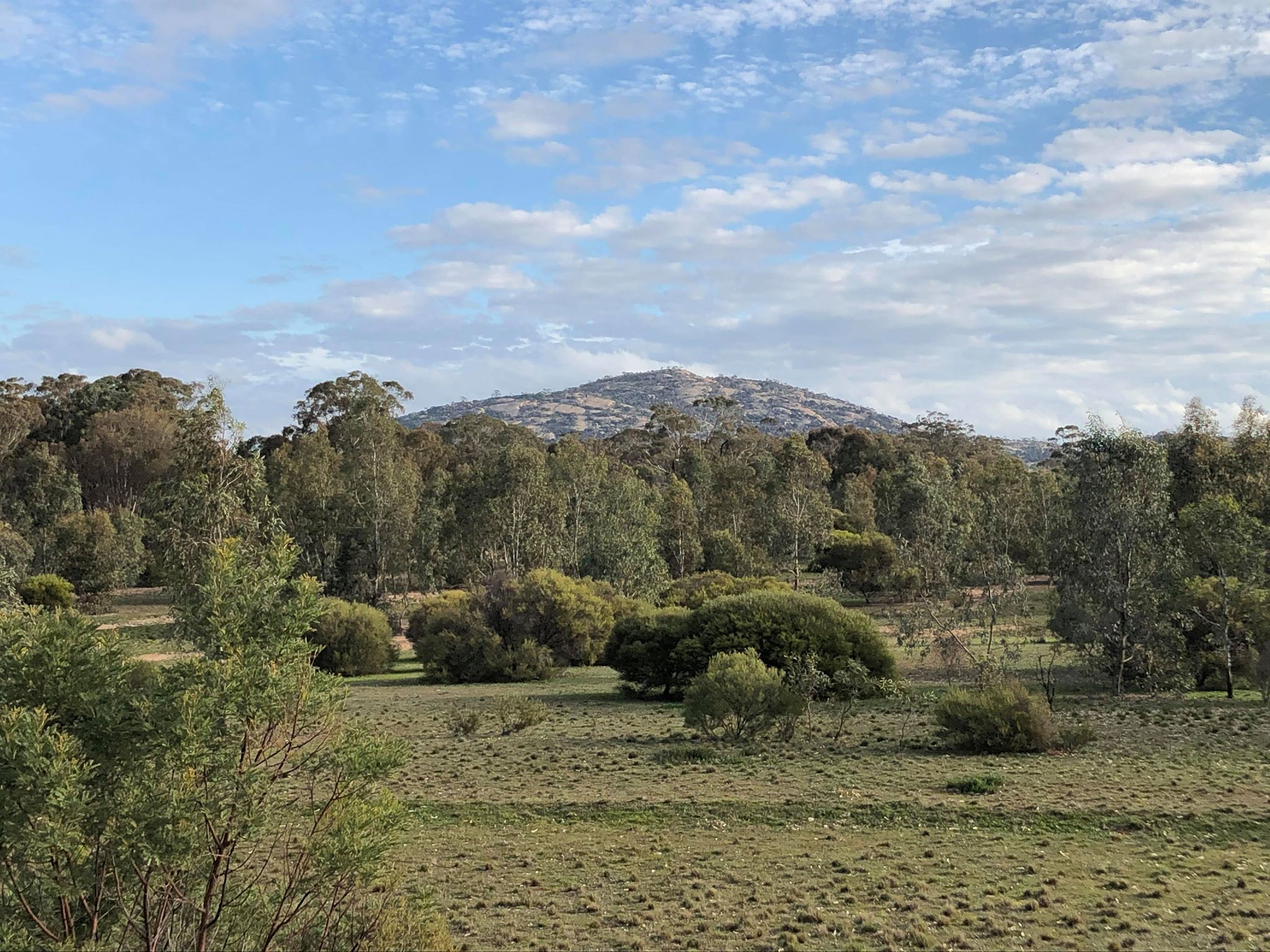 Mt Korong from Camp Kitchen 