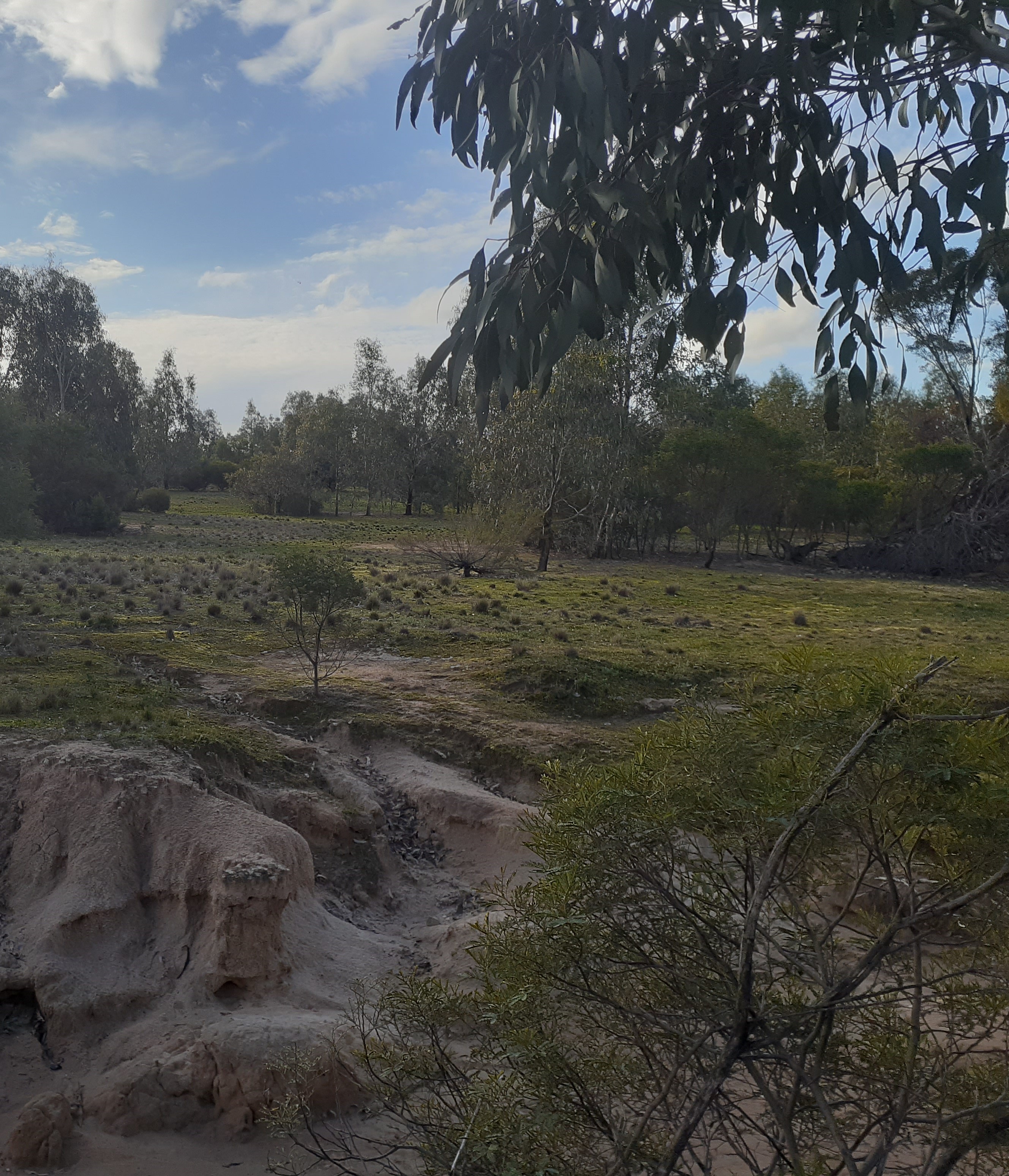 Wetlands - Gatjin Dja, Exclusive