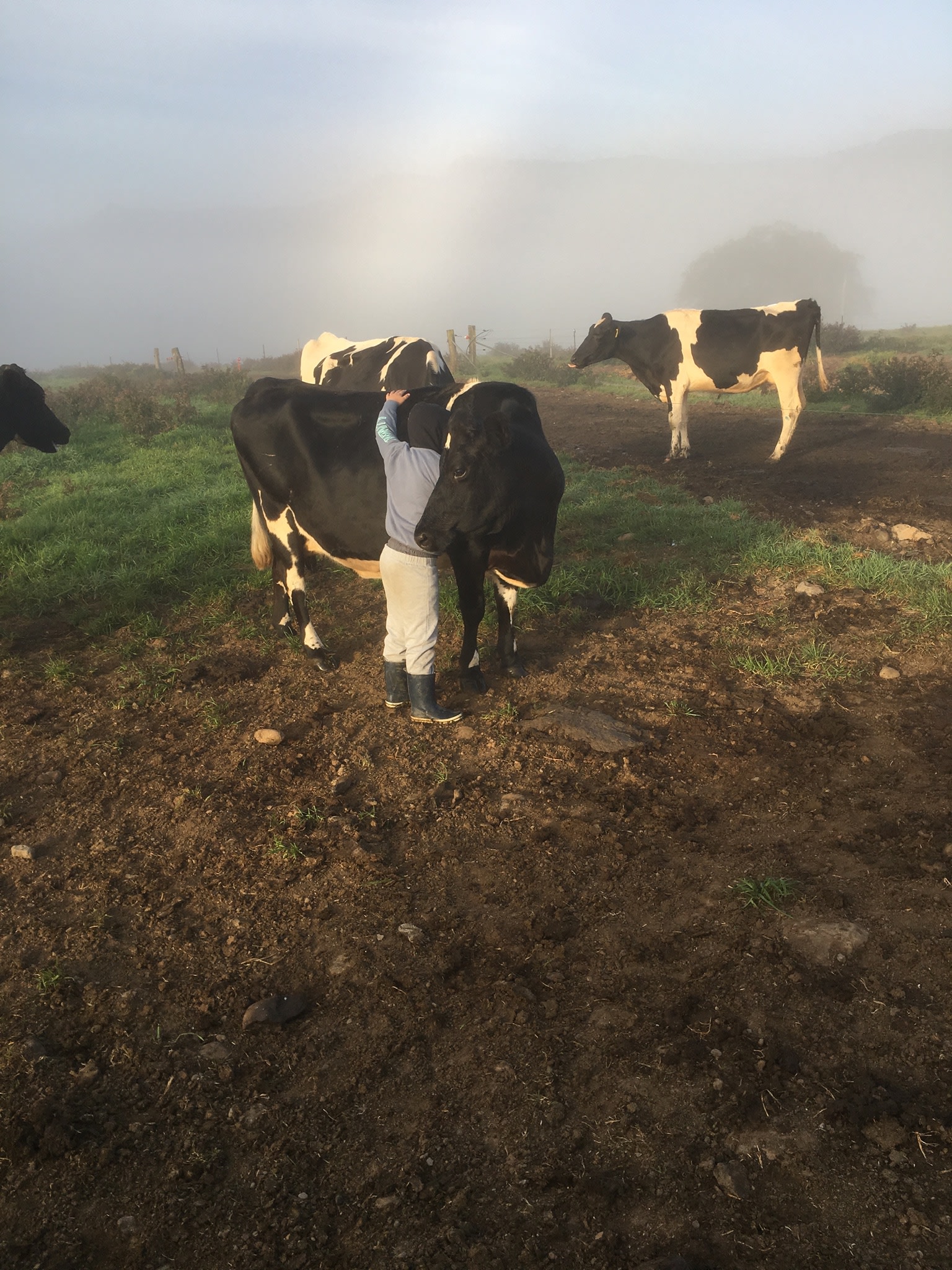 Our oldest girl getting a hug 