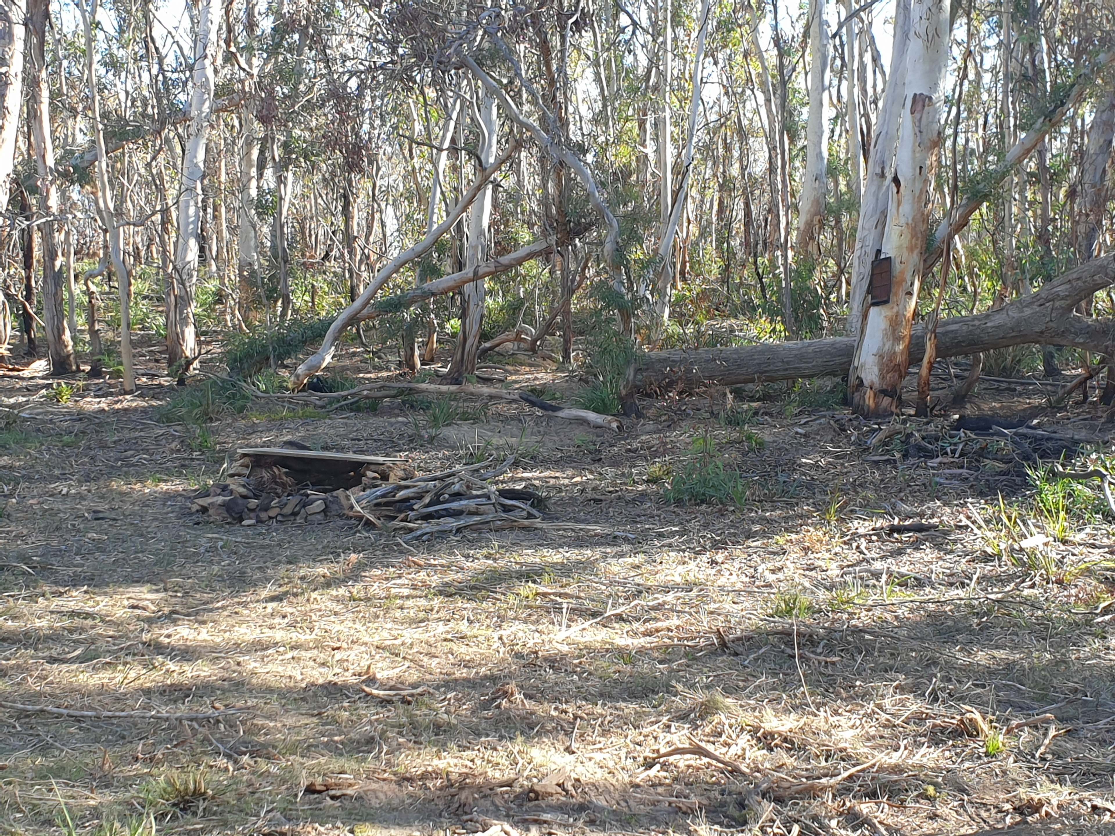 Enjoy sitting around a fire !